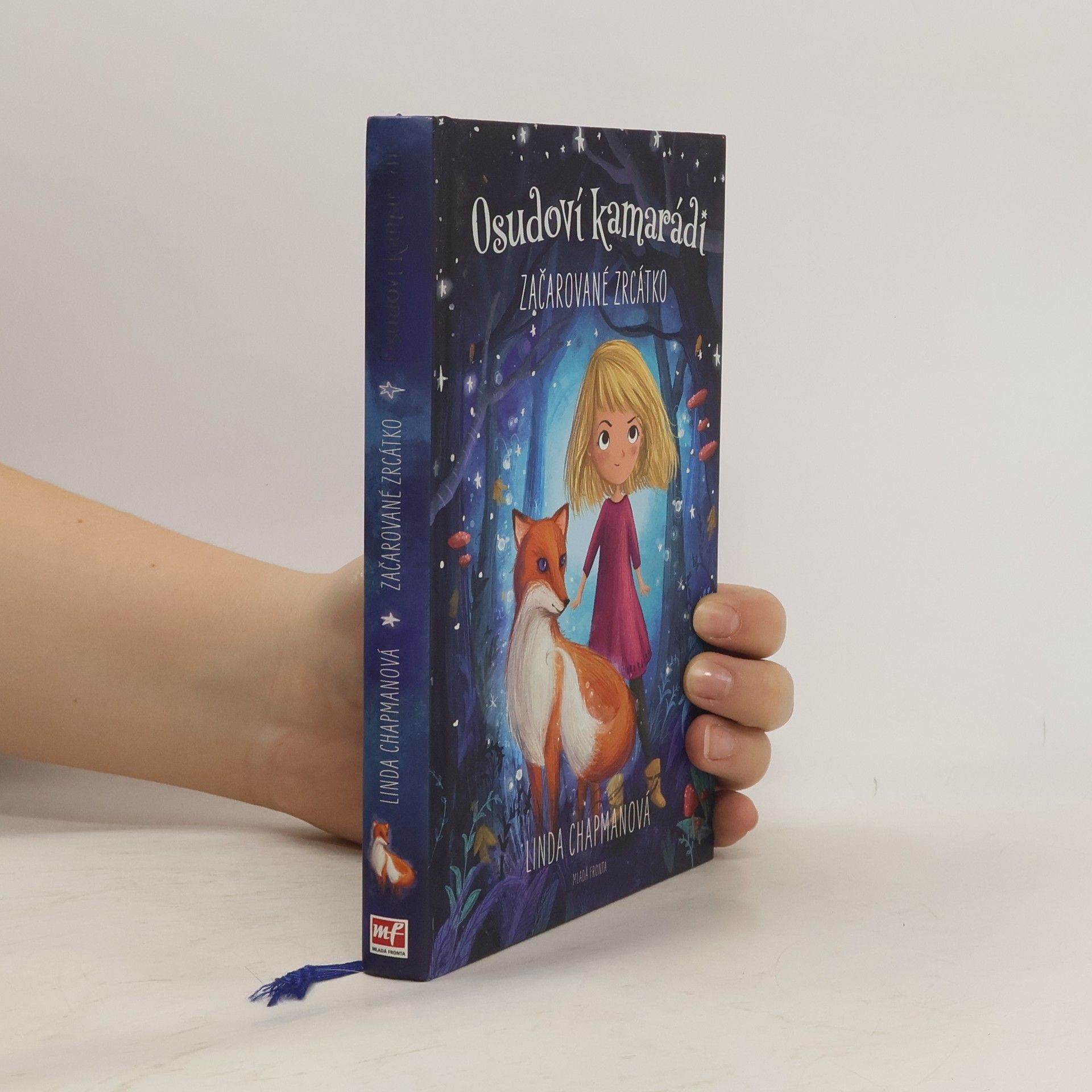 Linda Chapman Začarované zrcátko. Osudoví kamarádi 1