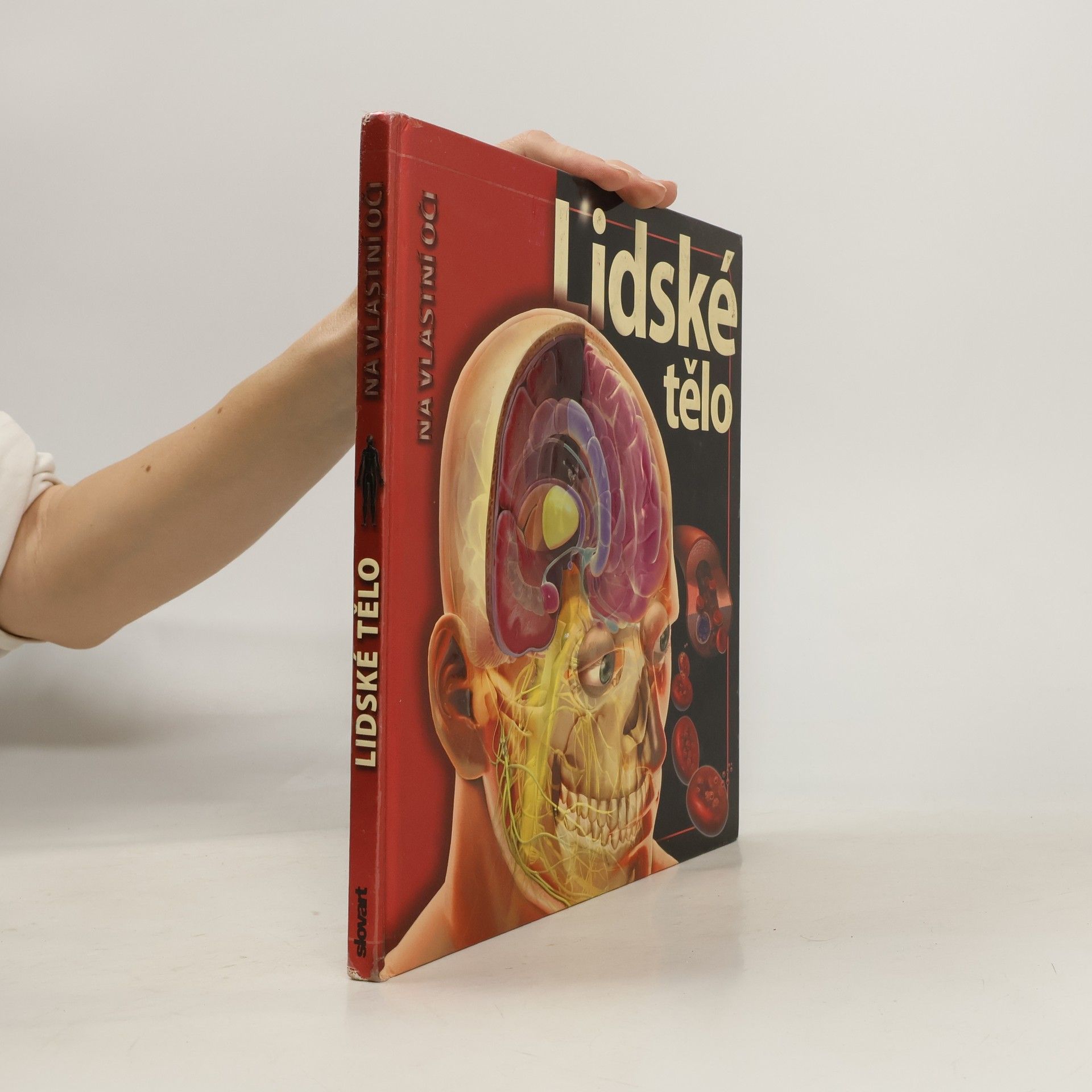 Linda Calabresi Lidské tělo