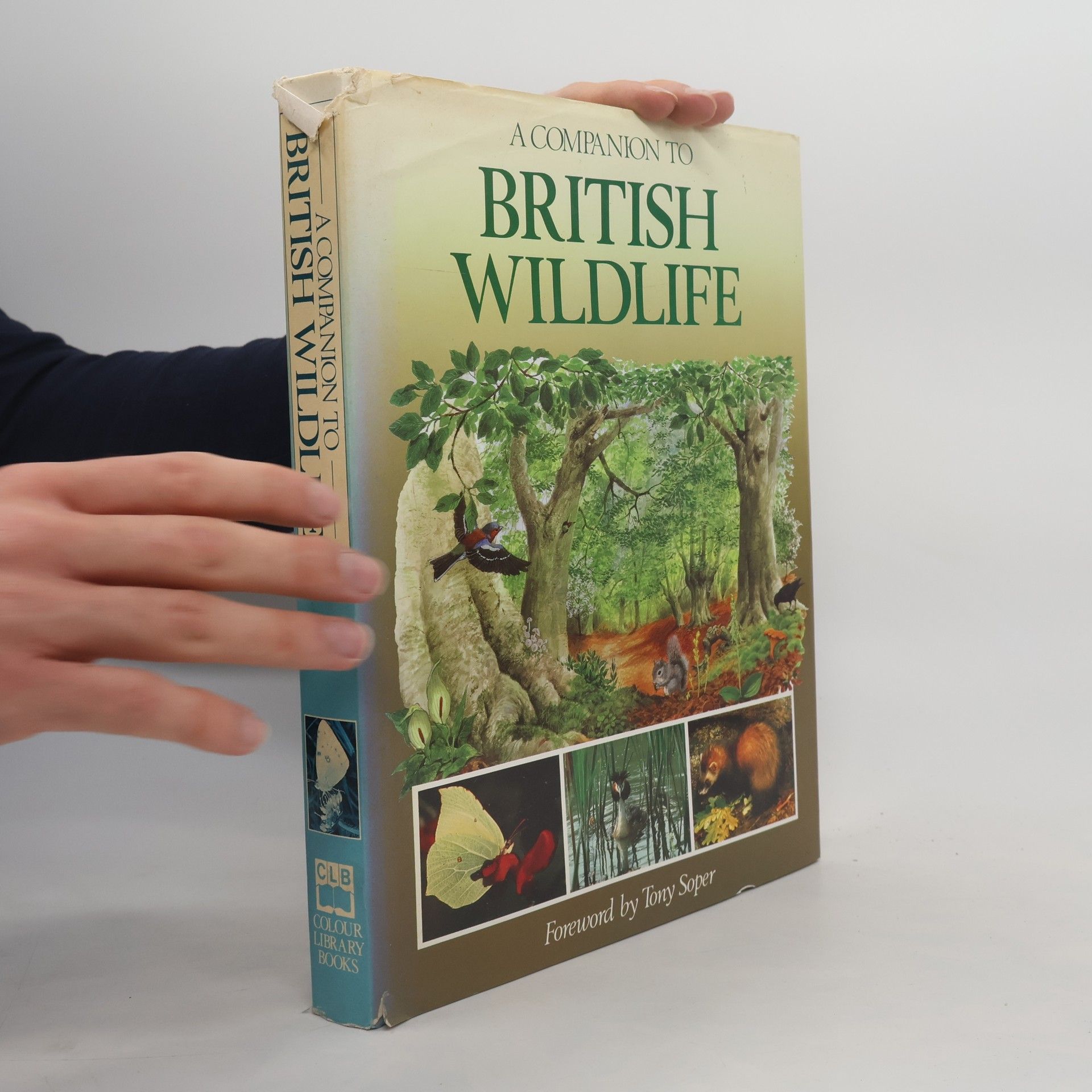 A Companion to British Wildlife
