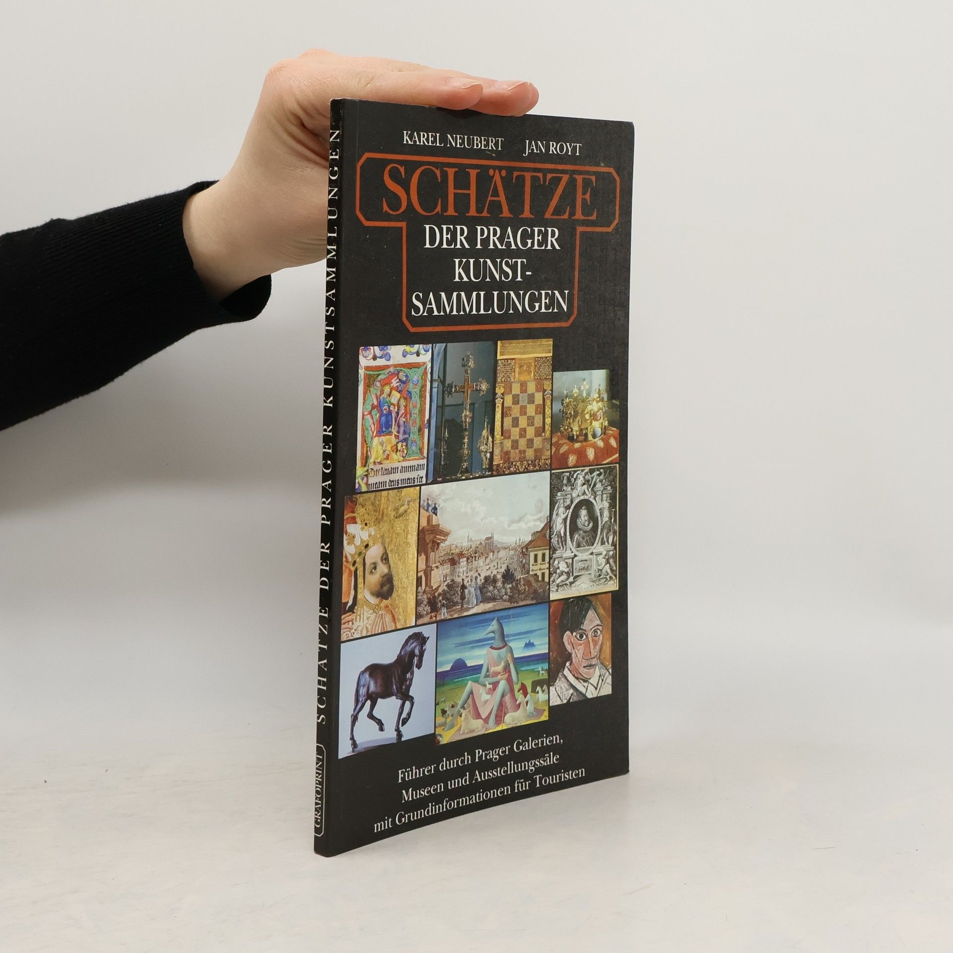 Karel Neubert Schätze der Prager Kunstsammlungen