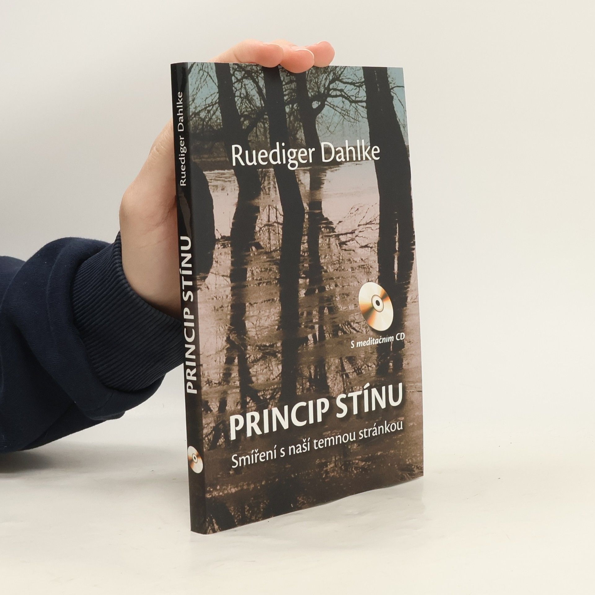 Ruediger Dahlke Princip stínu: Smíření s naší temnou stránkou