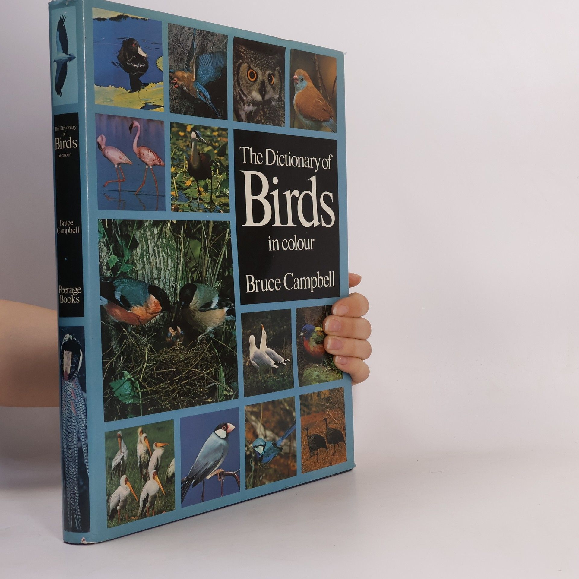Bruce Campbell The Dictionary of Birds in Color