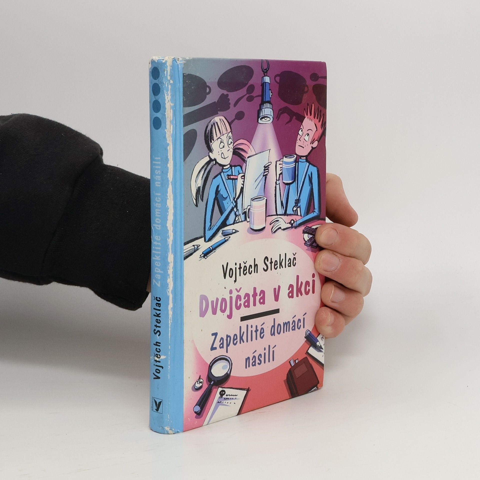Vojtěch Steklač Dvojčata v akci. Zapeklité domácí násilí