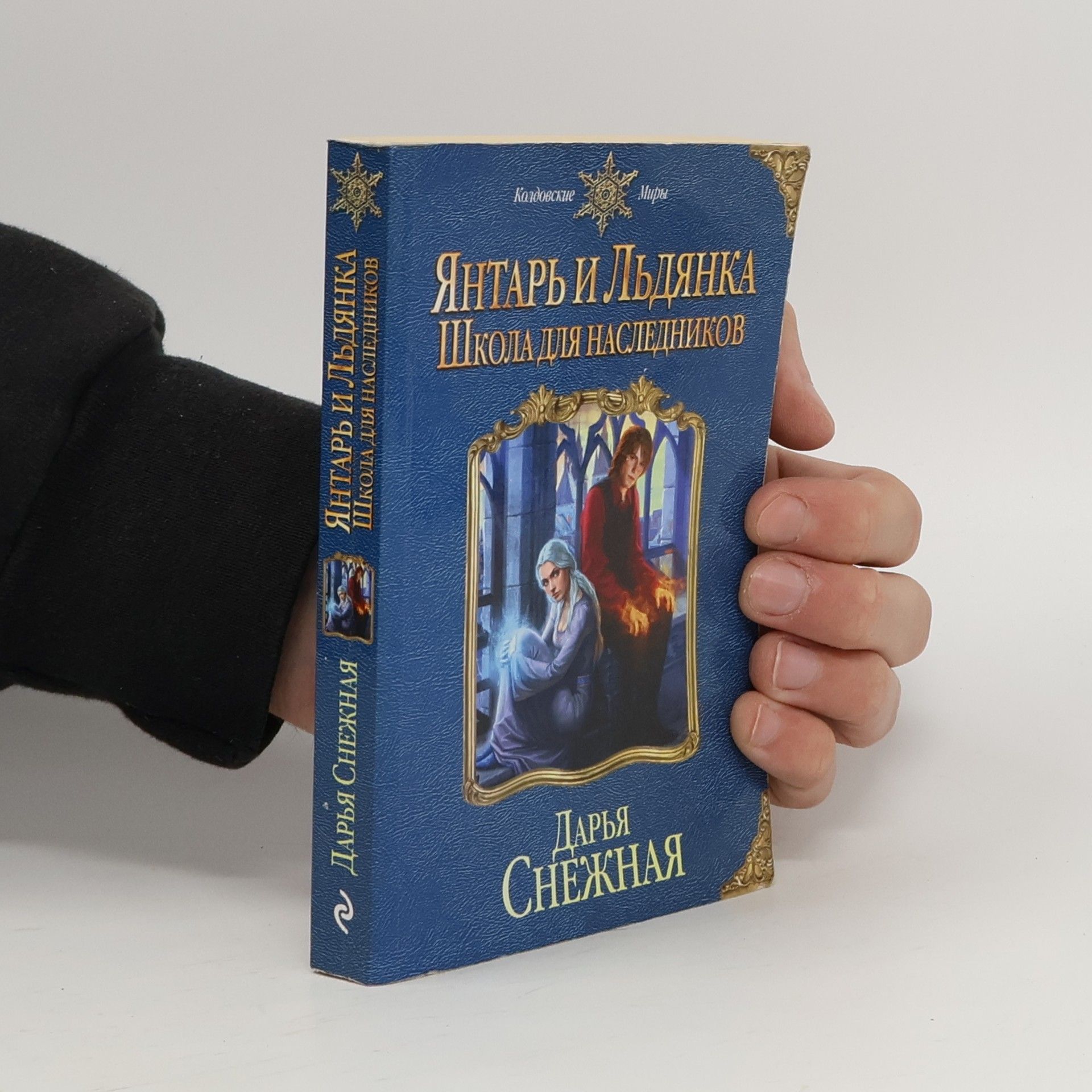 Дарья Снежная Янтарь и Льдянка. Школа для наследников