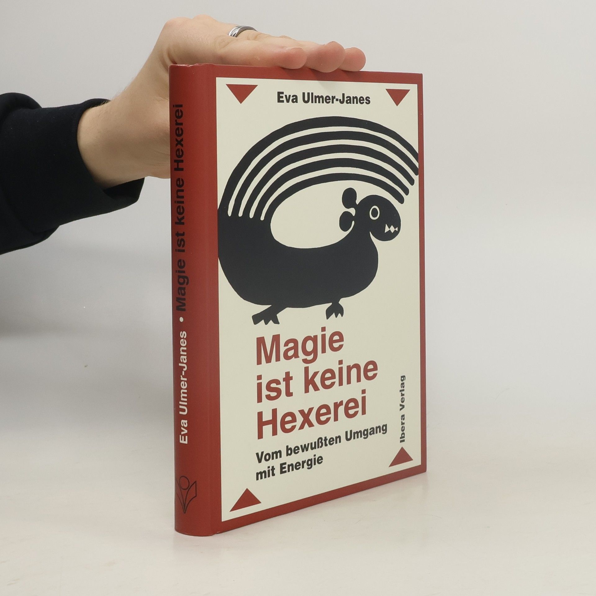 Eva Ulmer Janes Magie ist keine Hexerei