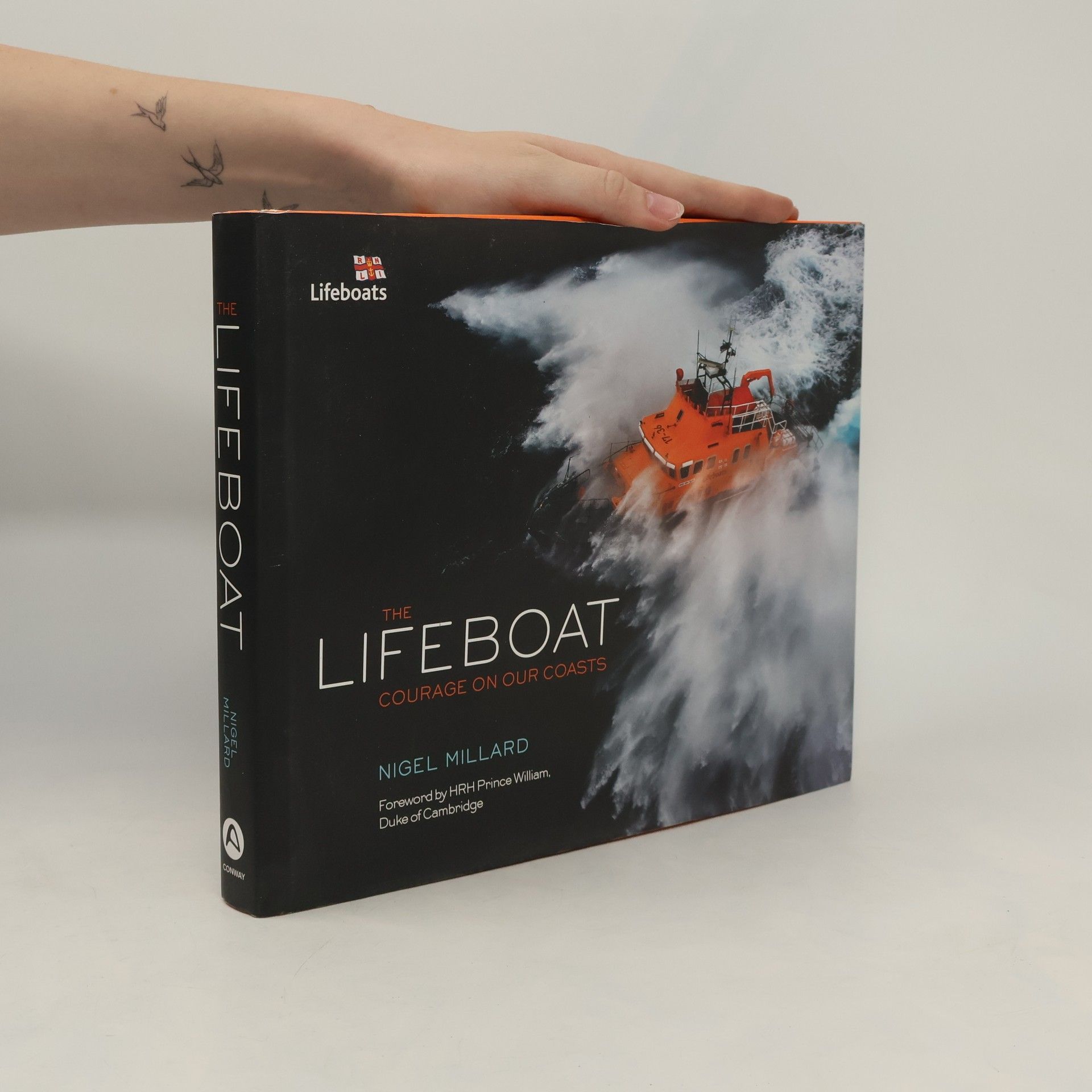 Nigel Millard The Lifeboat