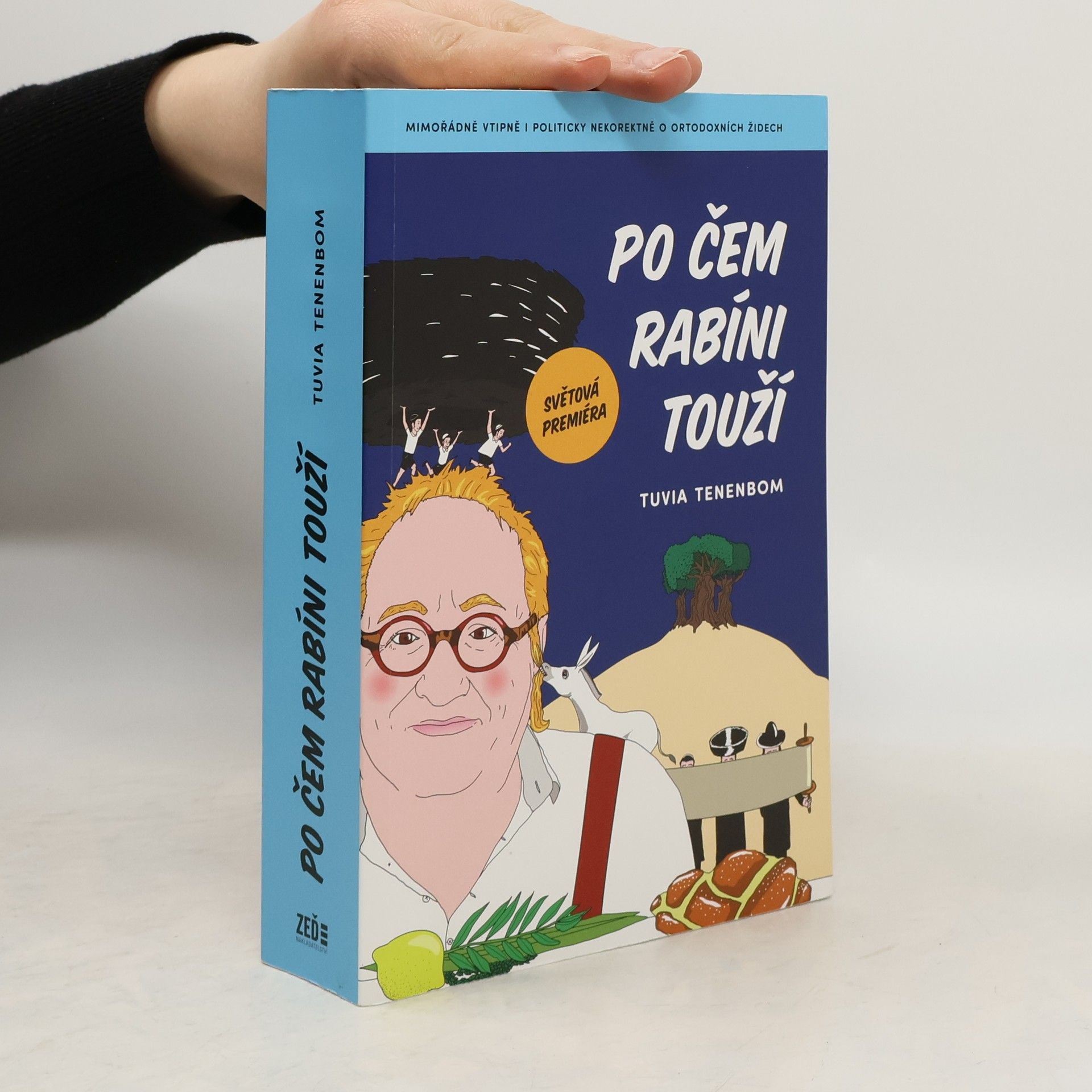 Tuvia Tenenbom Po čem rabíni touží : mimořádně vtipná i politicky nekorektní zpráva o ortodoxních Židech