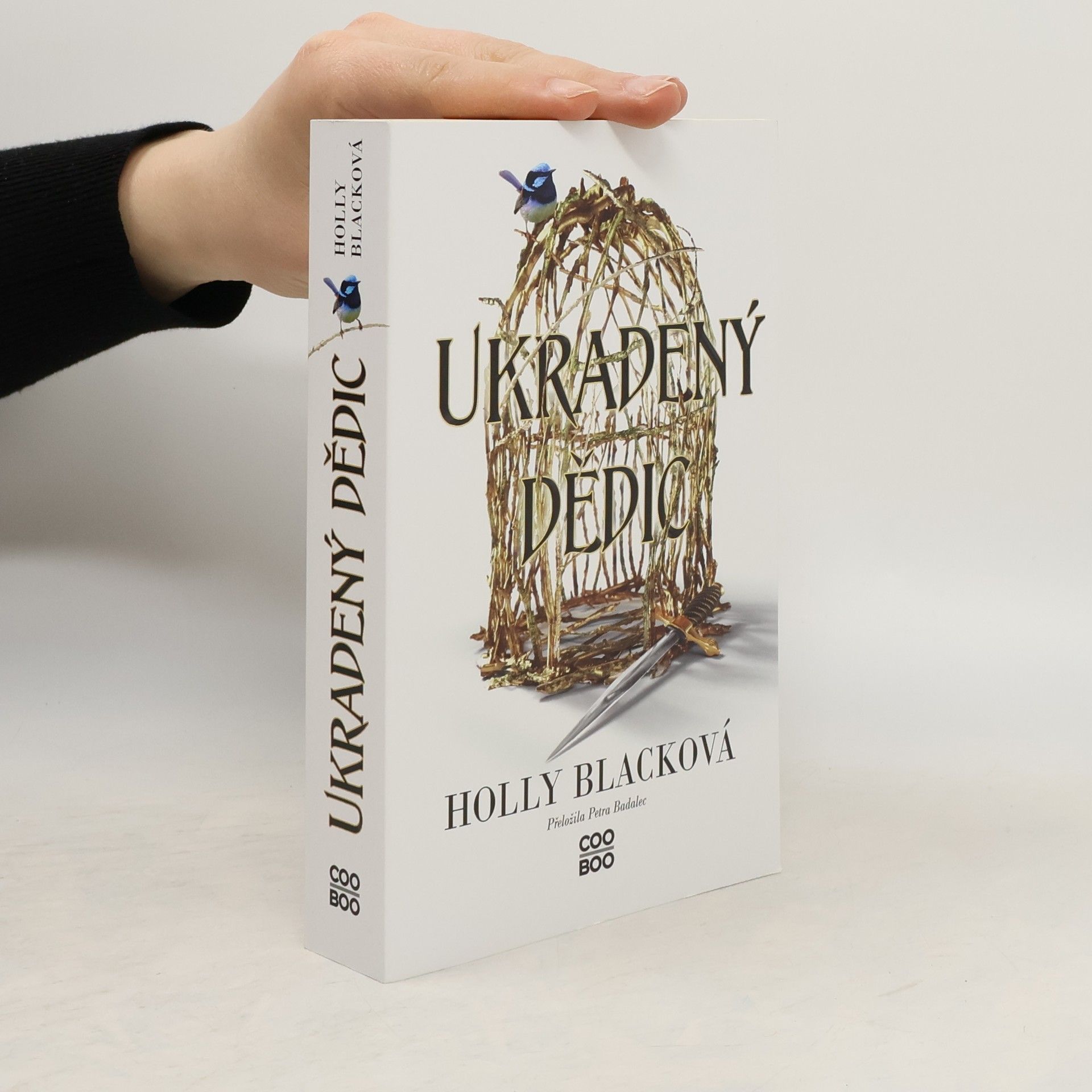 Holly Black Ukradený dědic