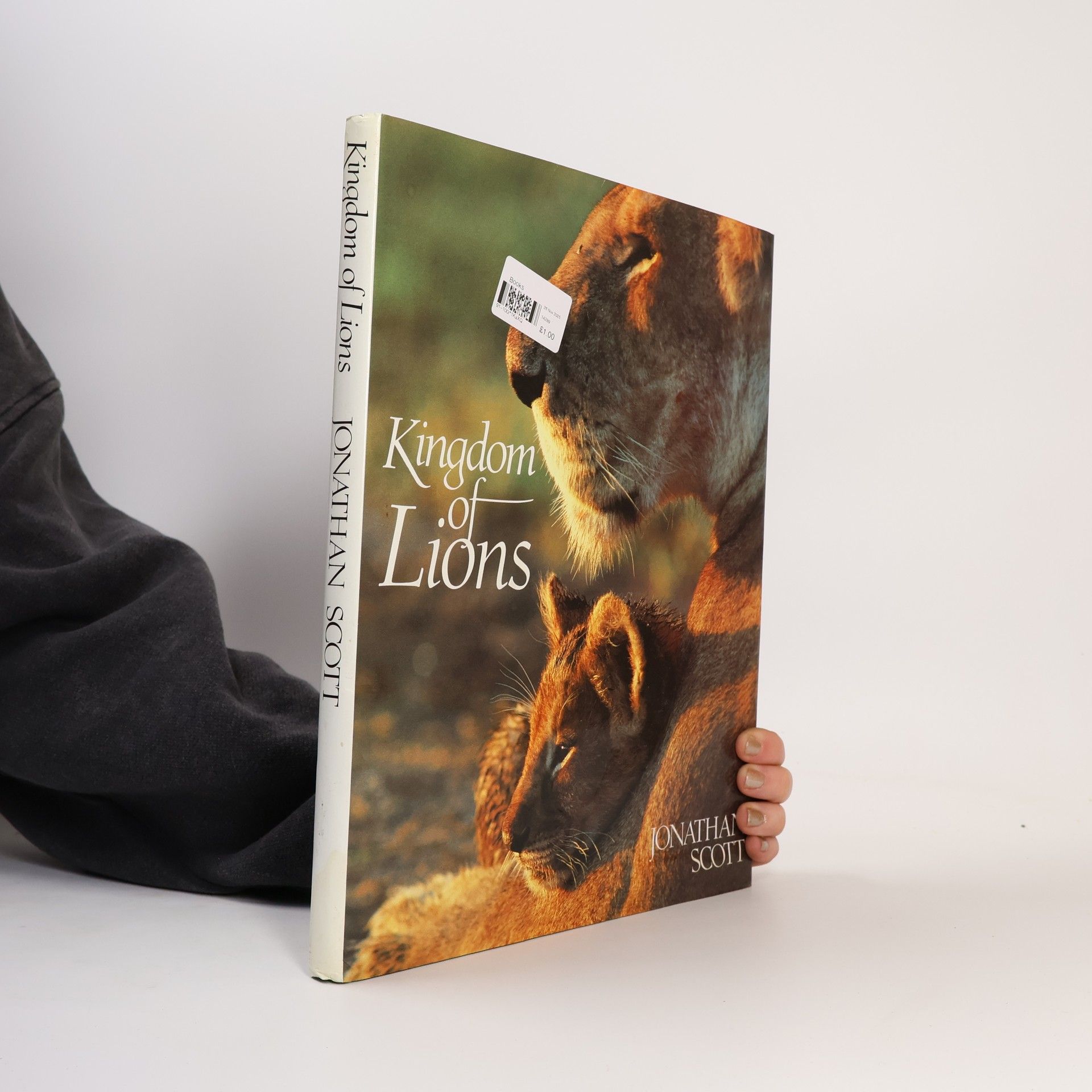 Jonathan Scott Kingdom of Lions