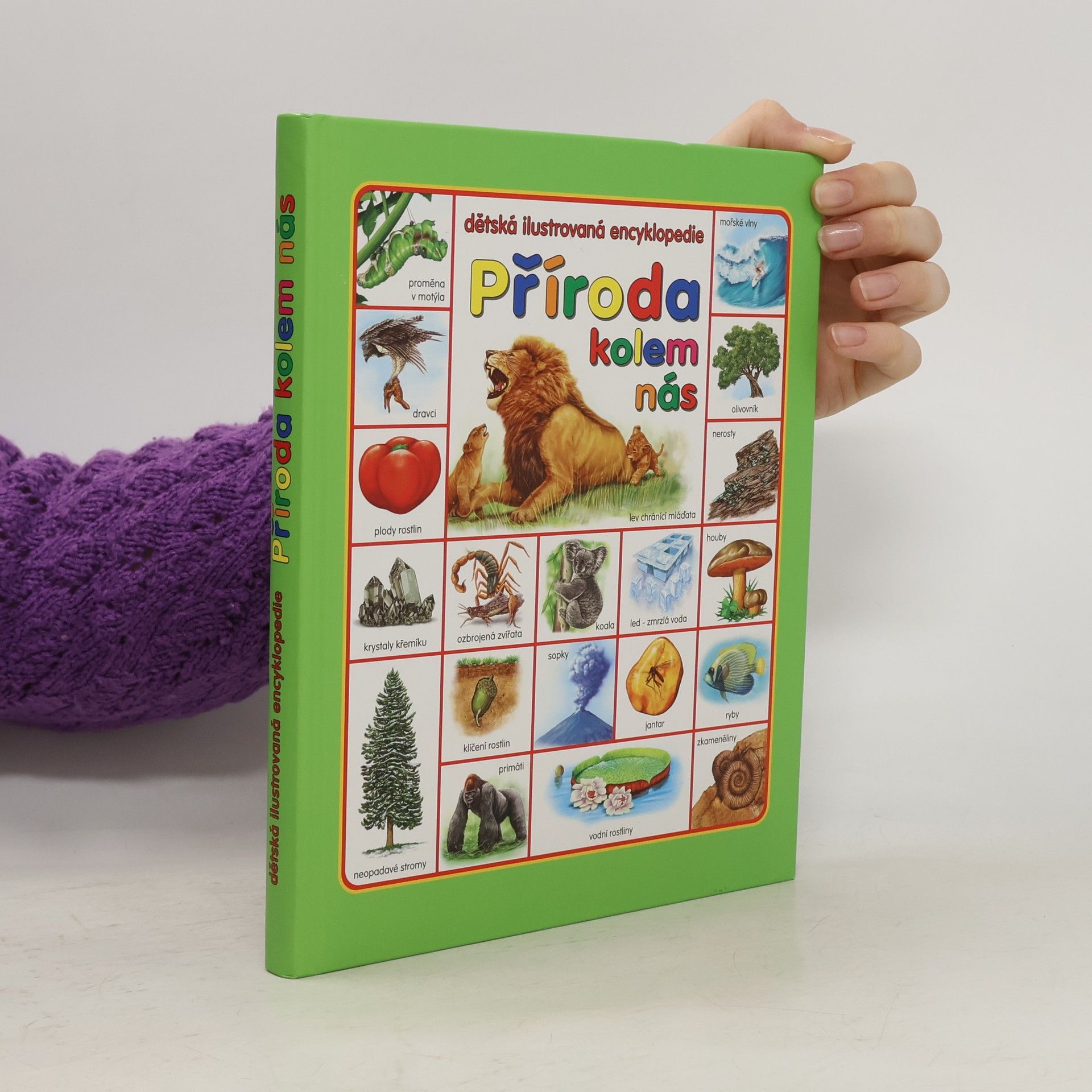 Příroda kolem nás. Dětská ilustrovaná encyklopedie