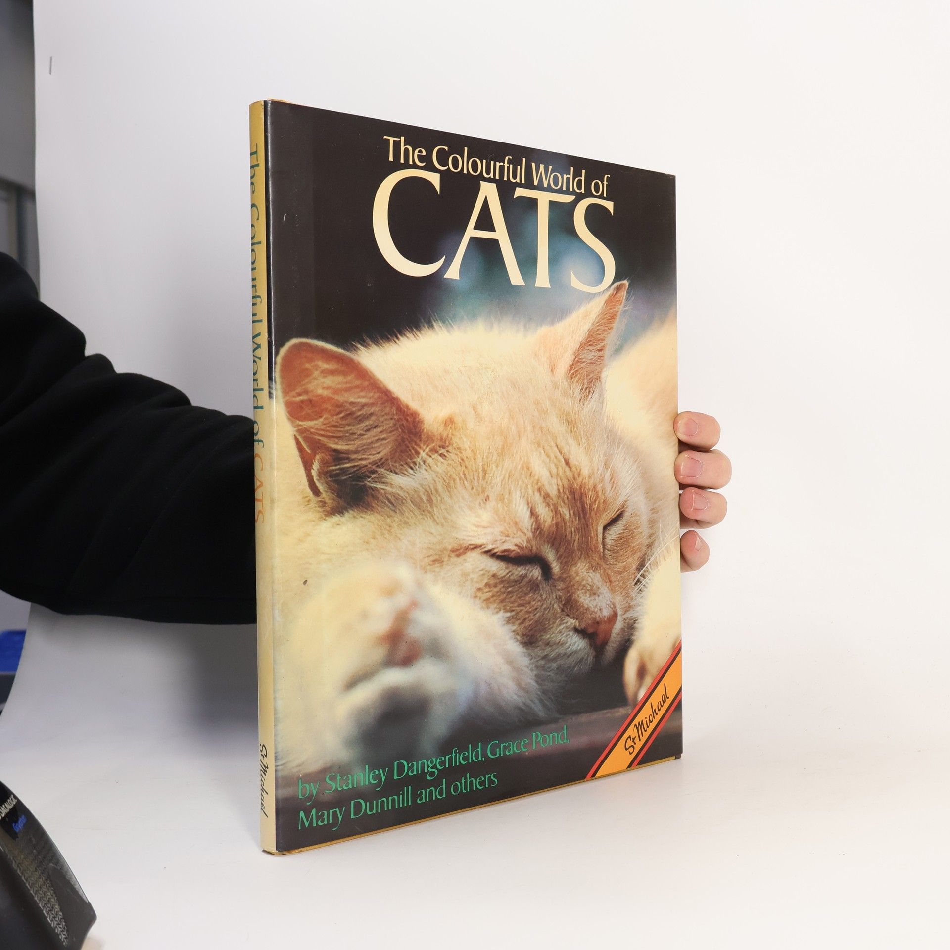Gladys Hayward The Colourful World of Cats