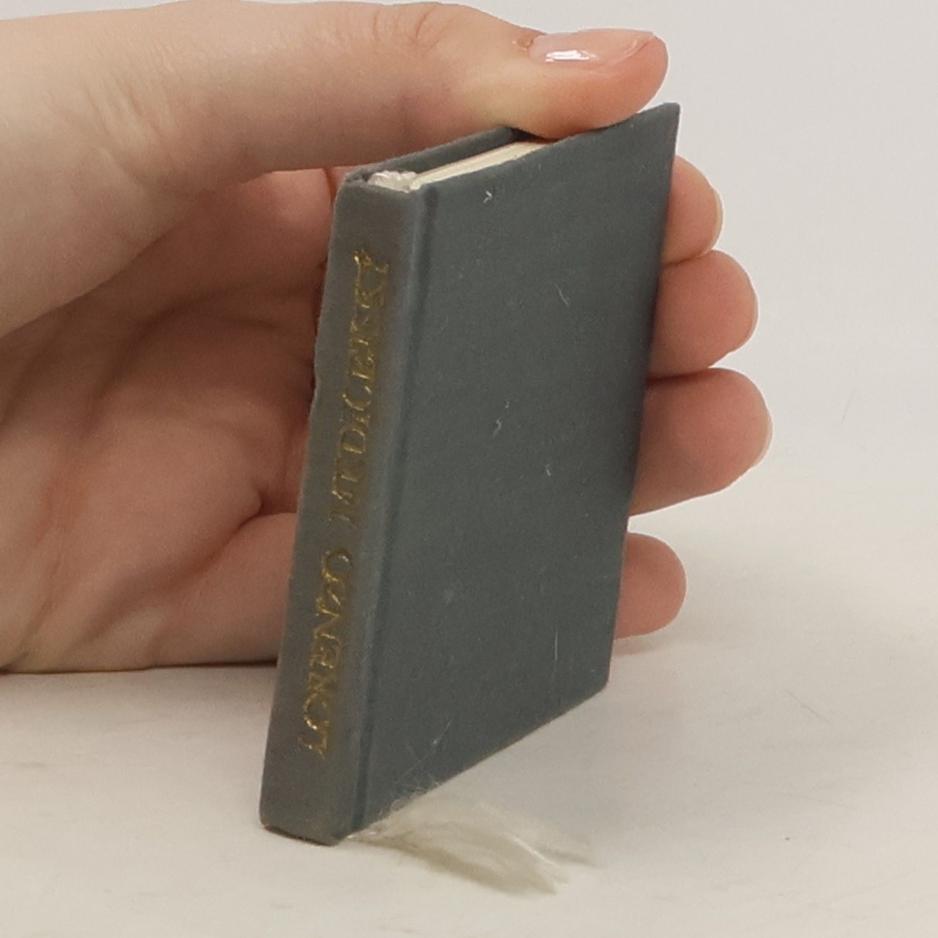 Medicejský karneval