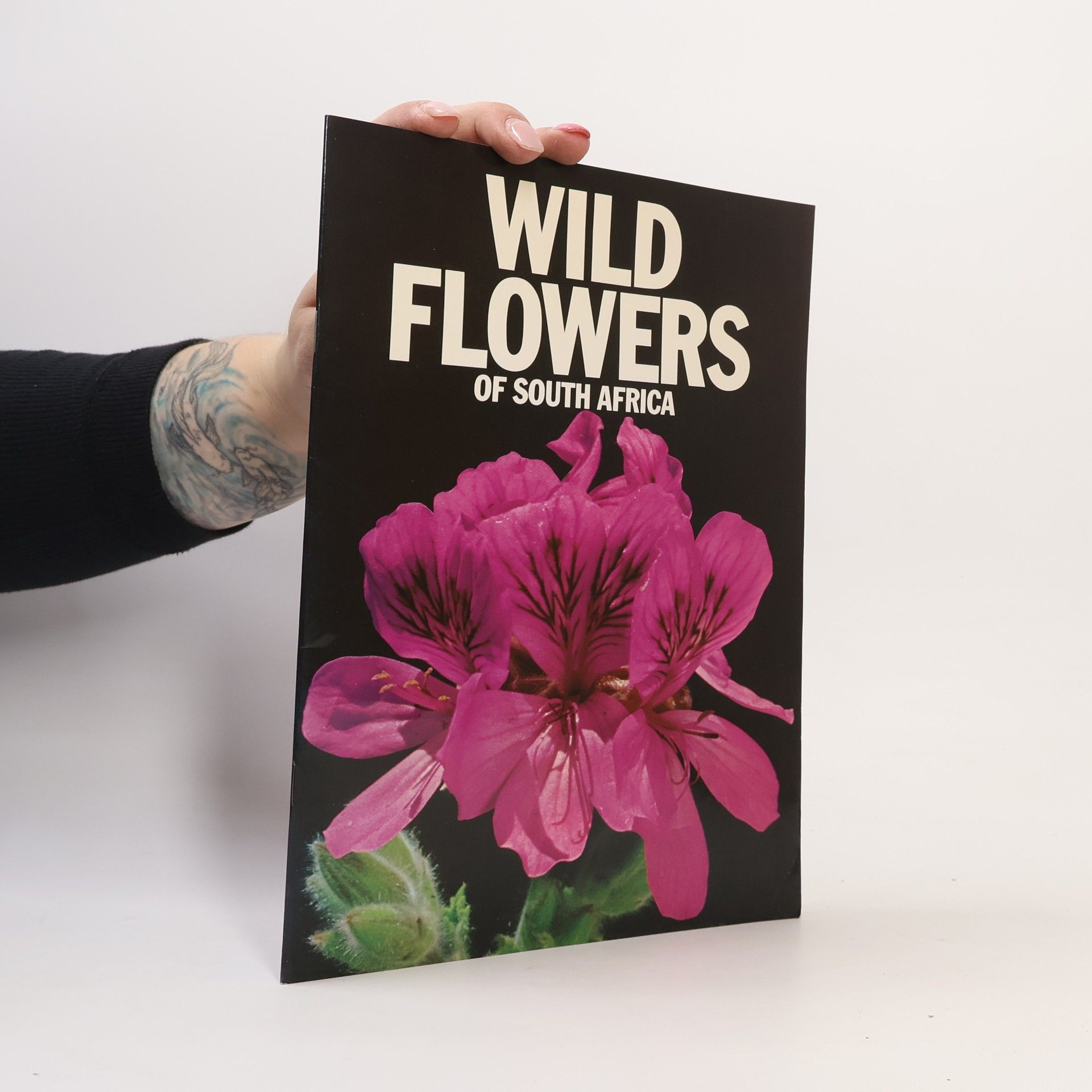 Shelley Van Zyl Wild Flowers of Southern Africa