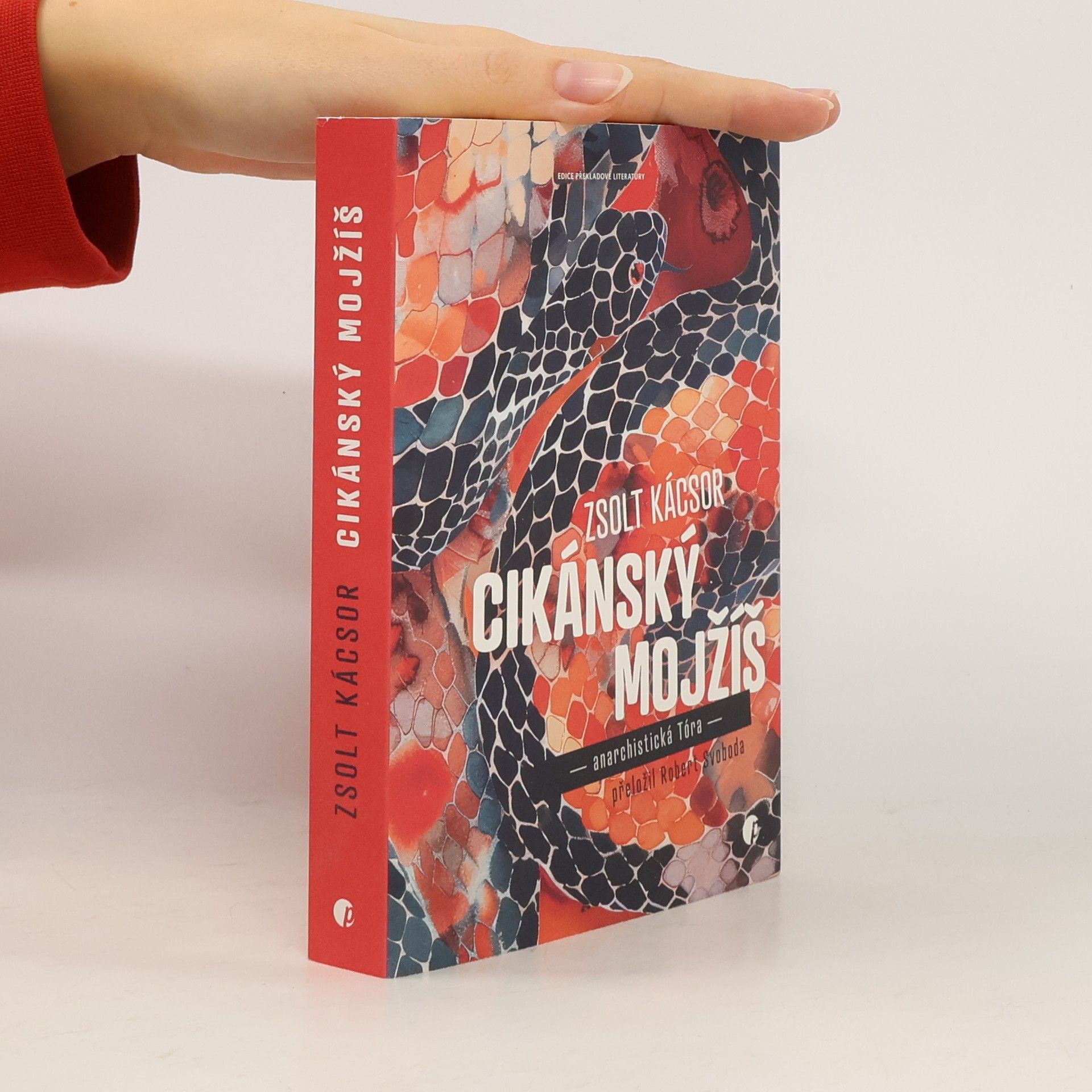 Zsolt Kácsor Cikánský Mojžíš