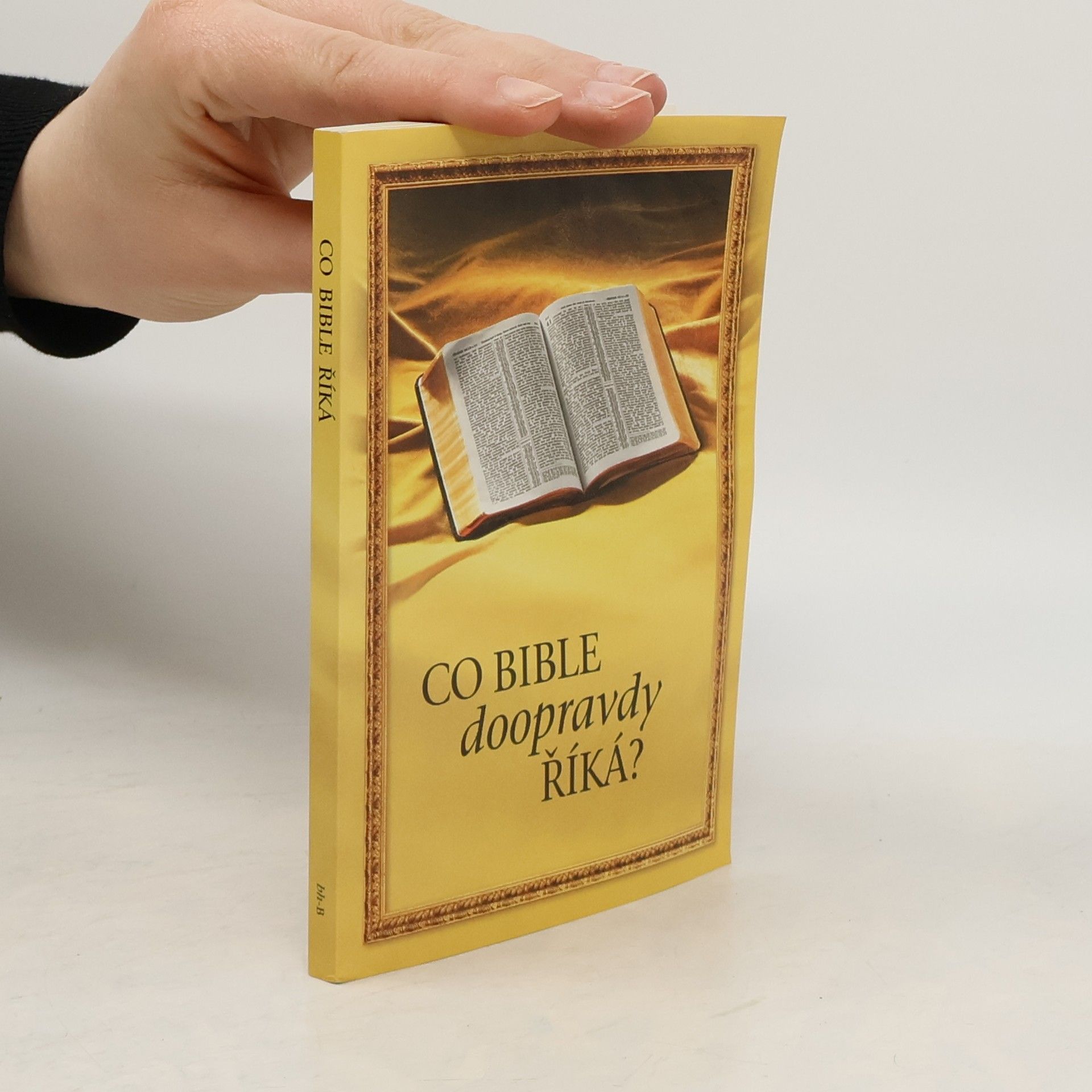 Autores varios Co Bible doopravdy říká?