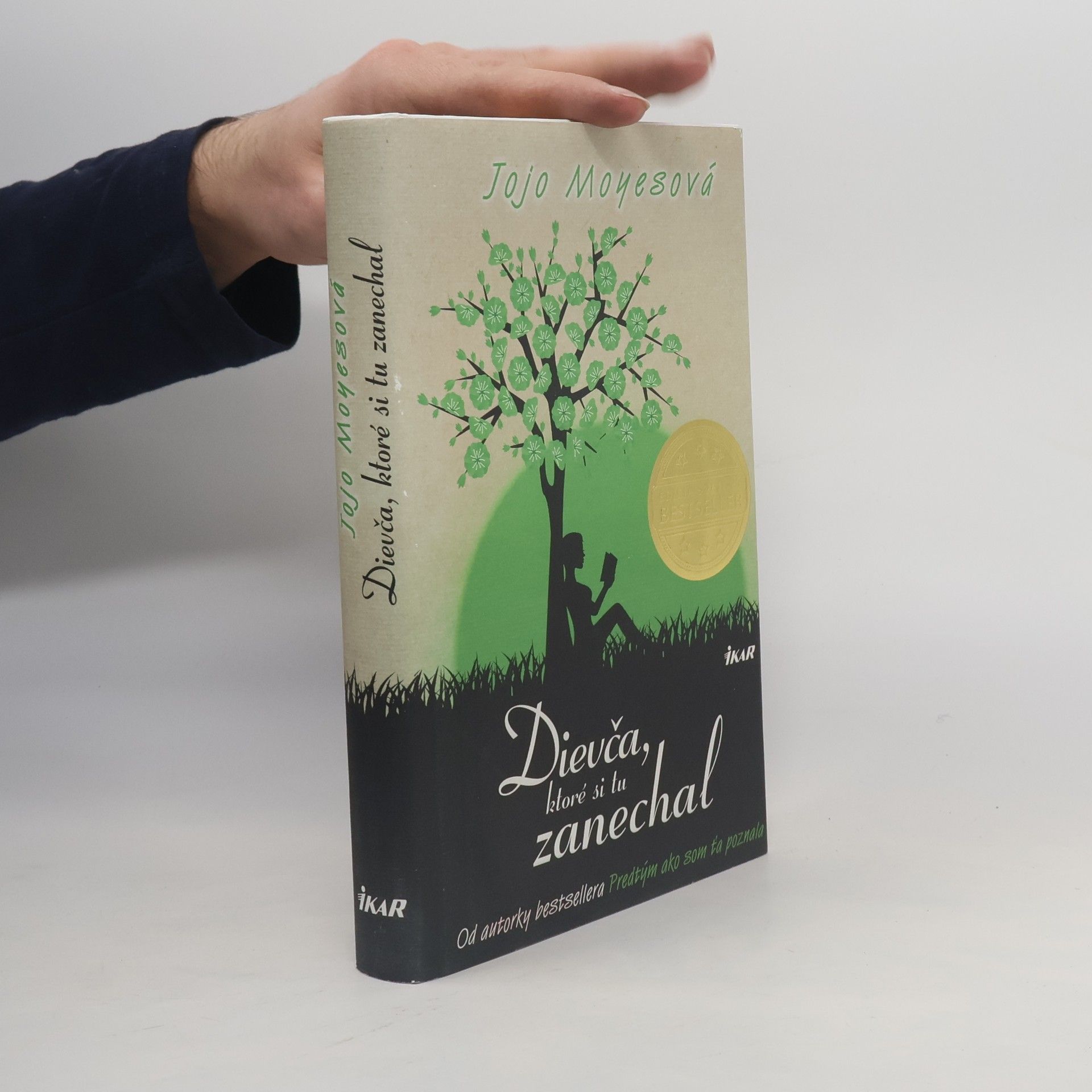 Jojo Moyes Dievča, ktoré si tu zanechal