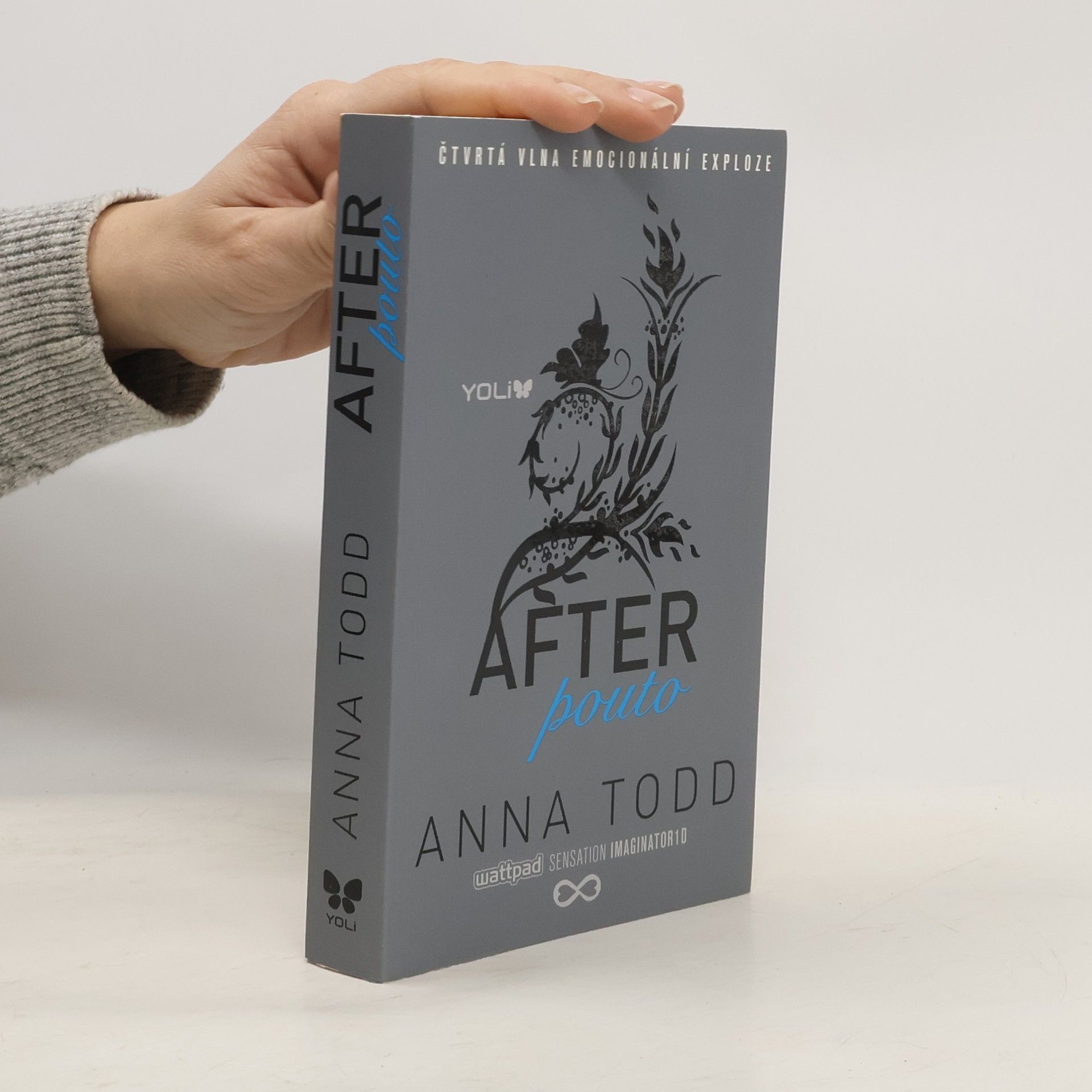Anna Todd After. Pouto