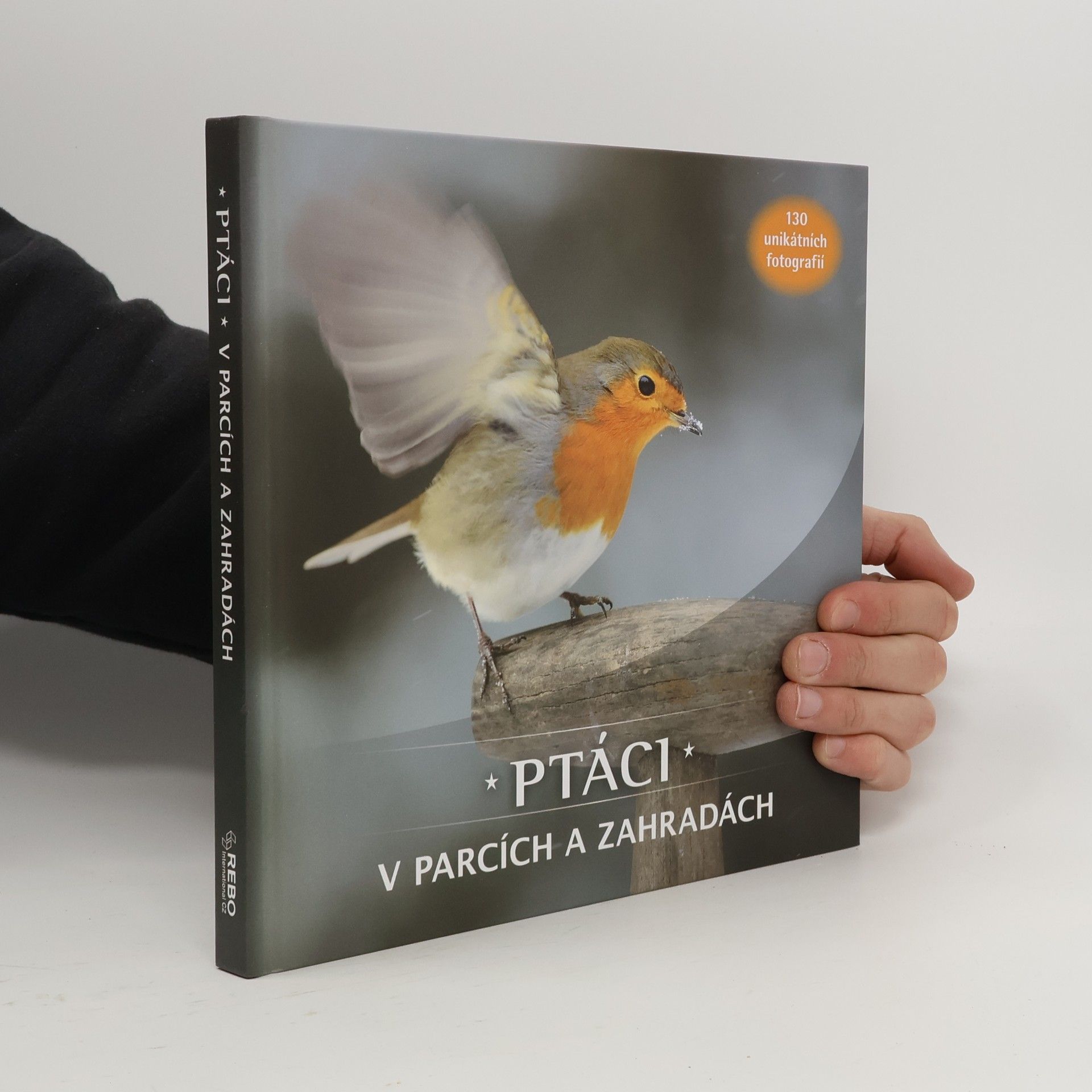 Jaap Schelvis Ptáci v parcích a zahradách