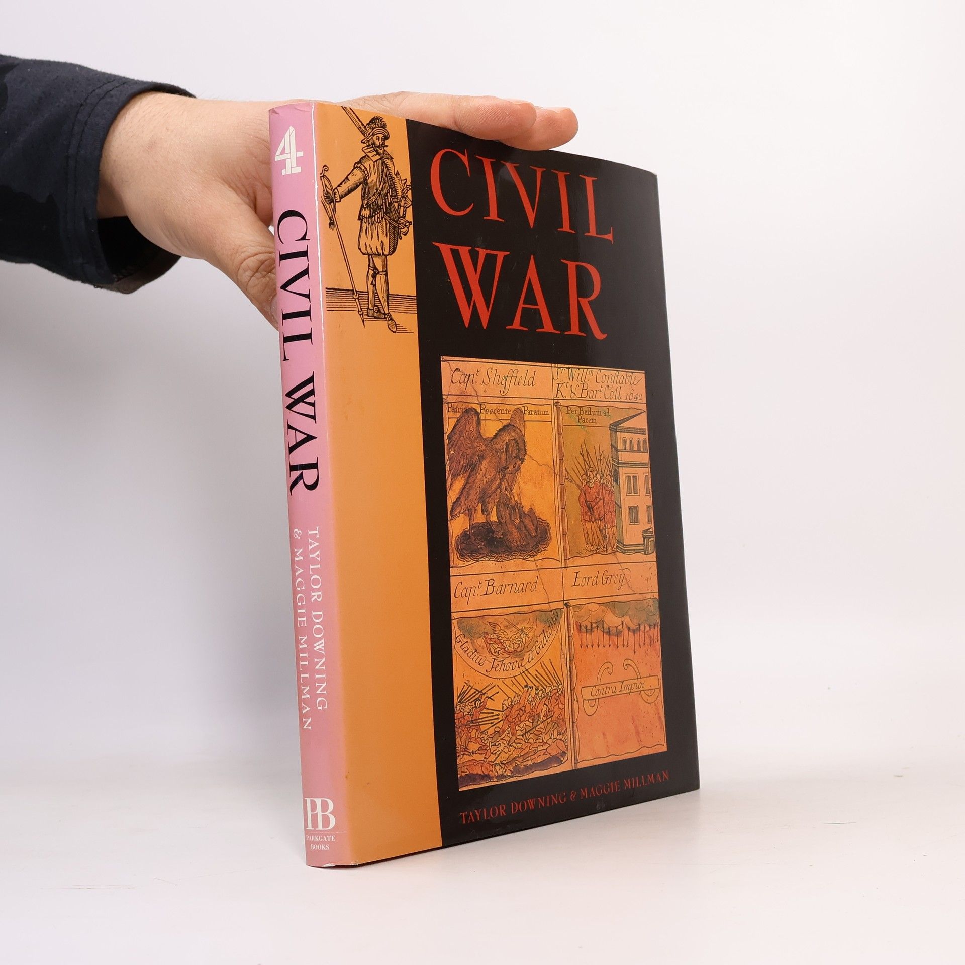 Taylor Downing Civil War