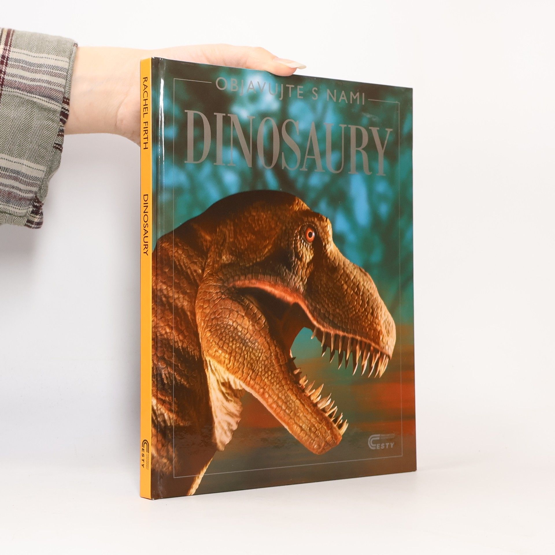Rachel Firth Dinosaury