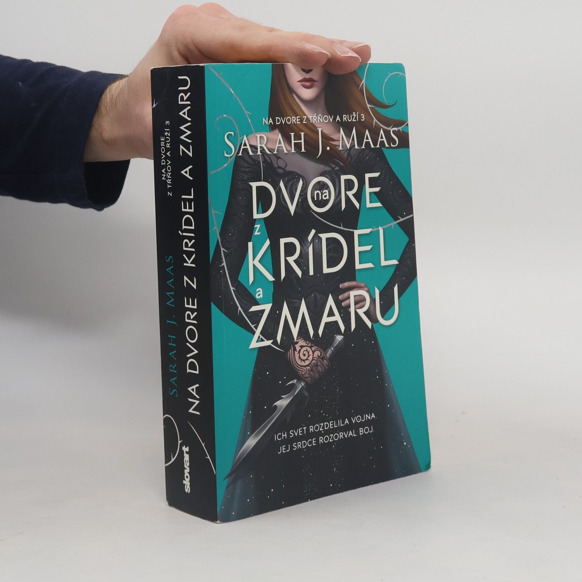 Sarah J. Maas Na dvore z krídel a zmaru