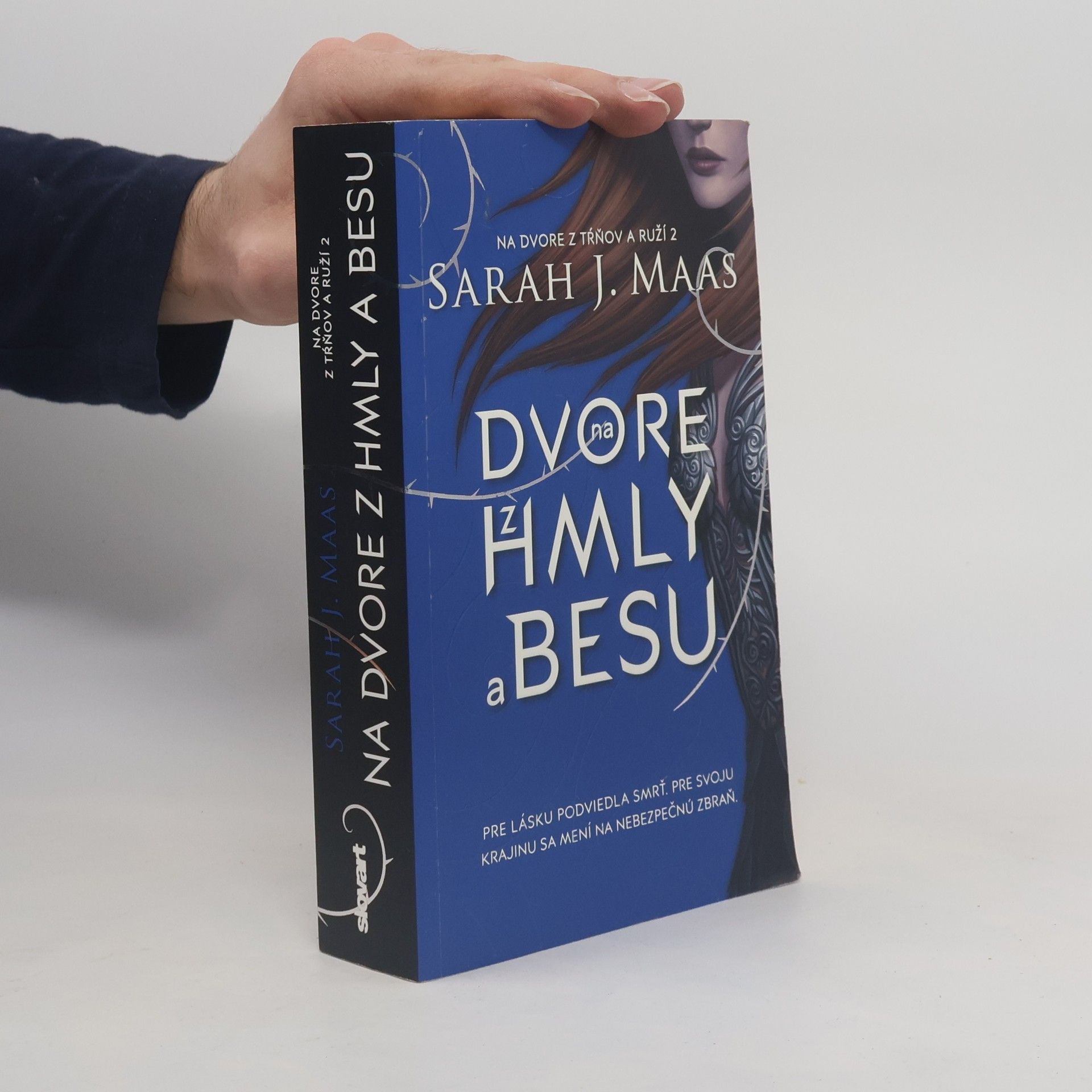 Sarah J. Maas Na dvore z hmly a besu