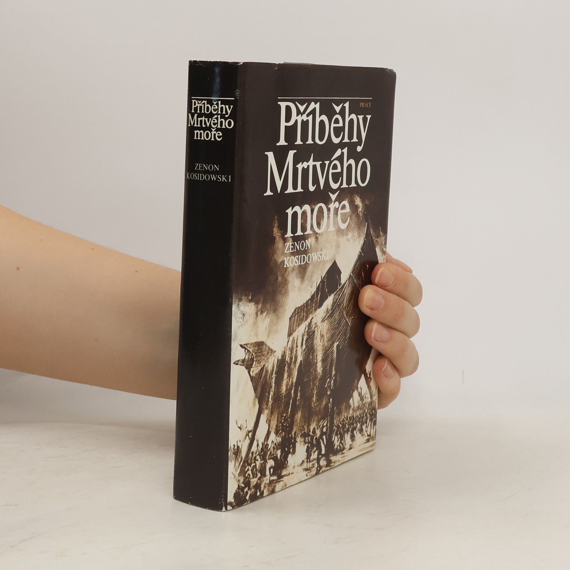 Zenon Kosidowski Příběhy Mrtvého moře