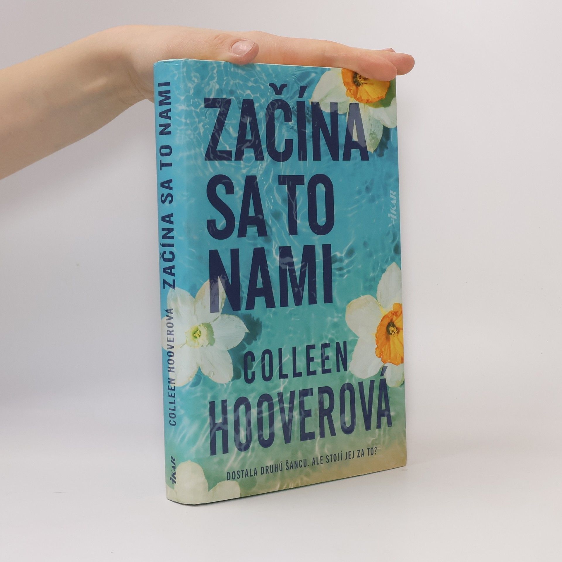 Colleen Hoover Začína sa to nami
