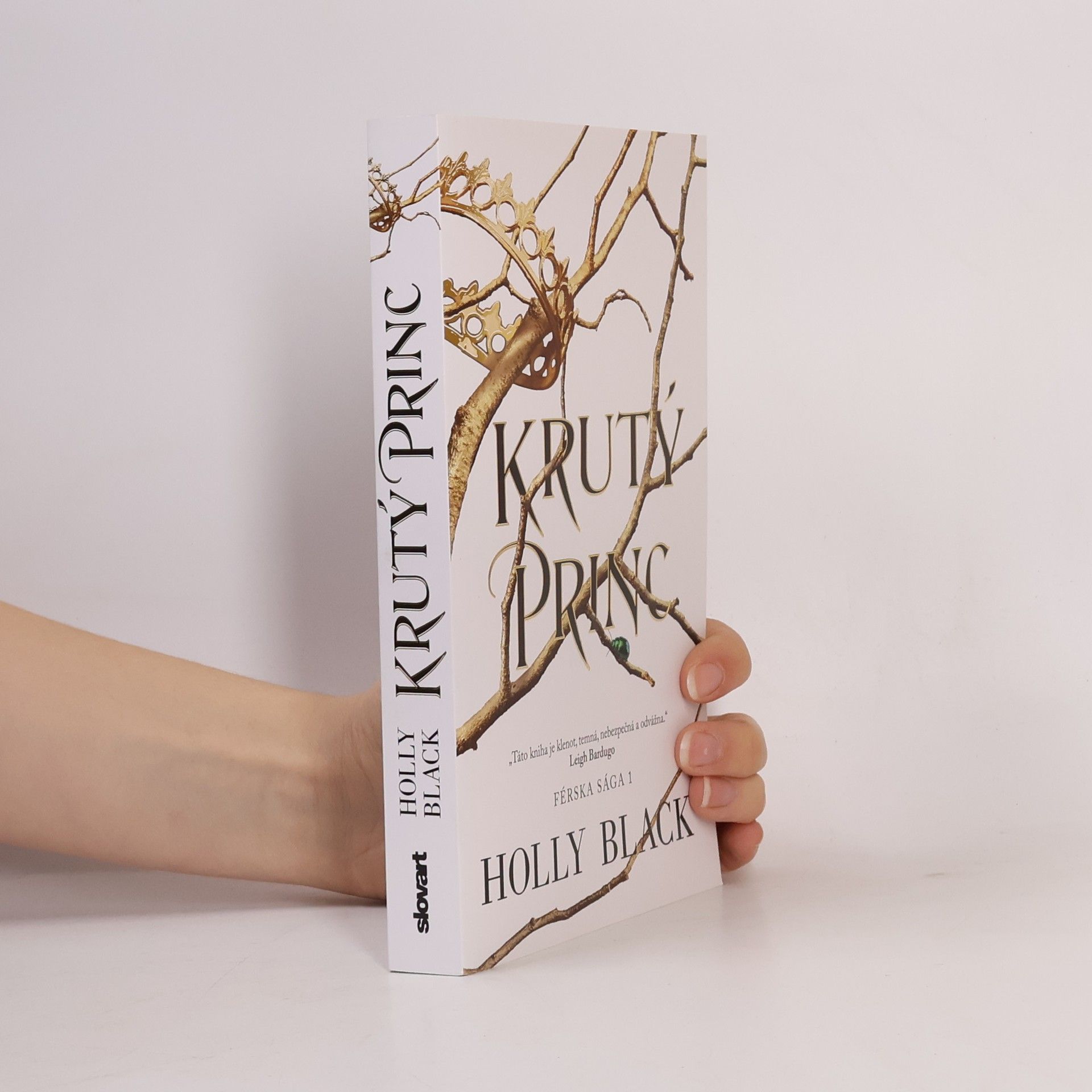Holly Black Krutý princ