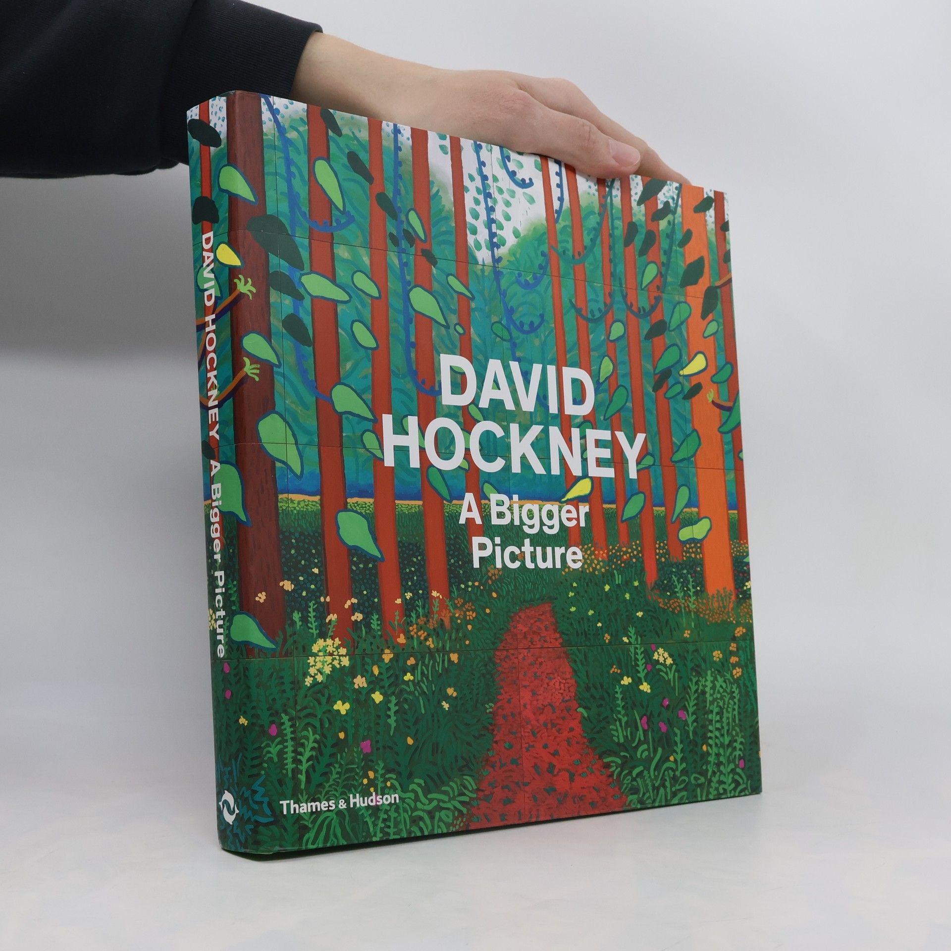 David Hockney David Hockney: A Bigger Picture