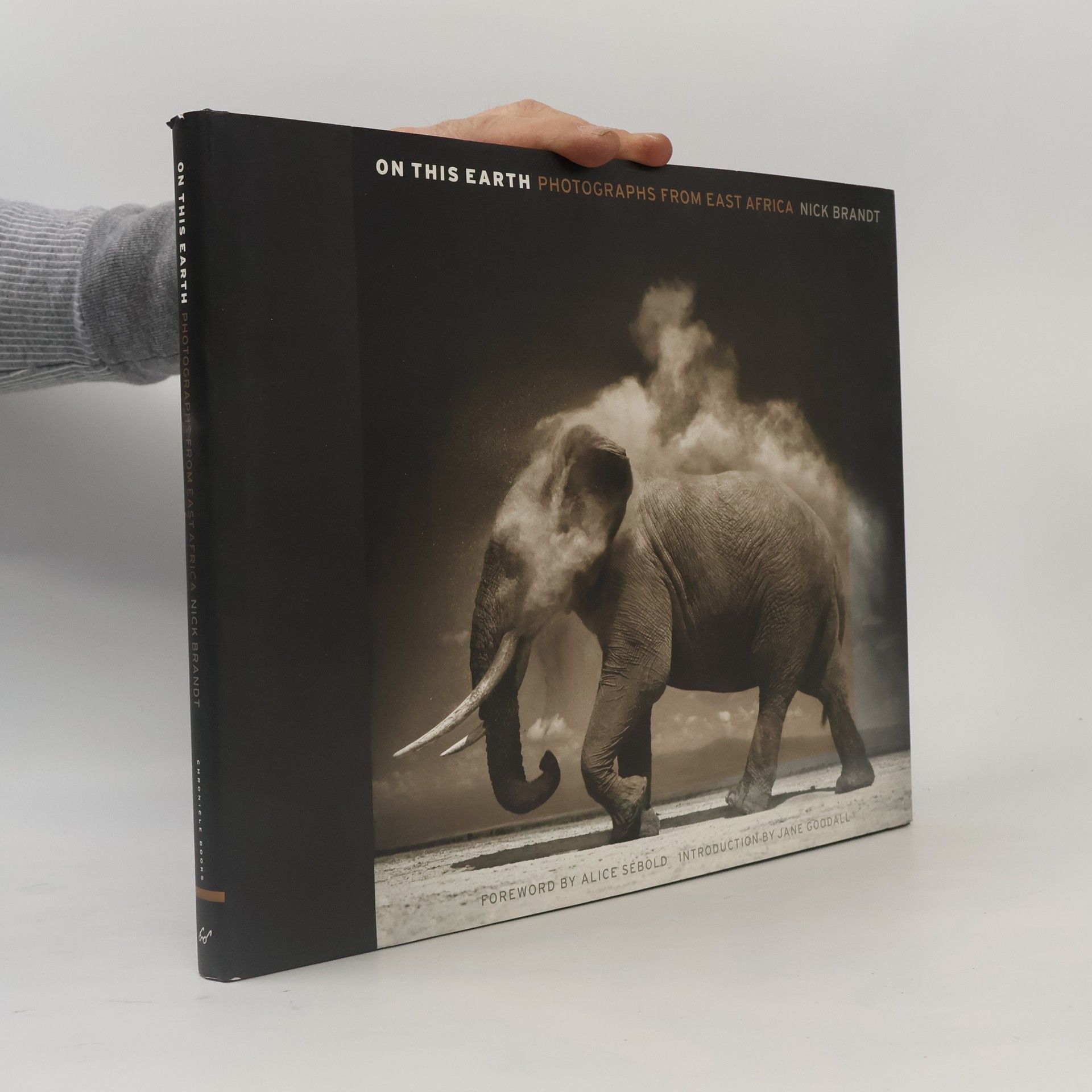 Nick Brandt On This Earth