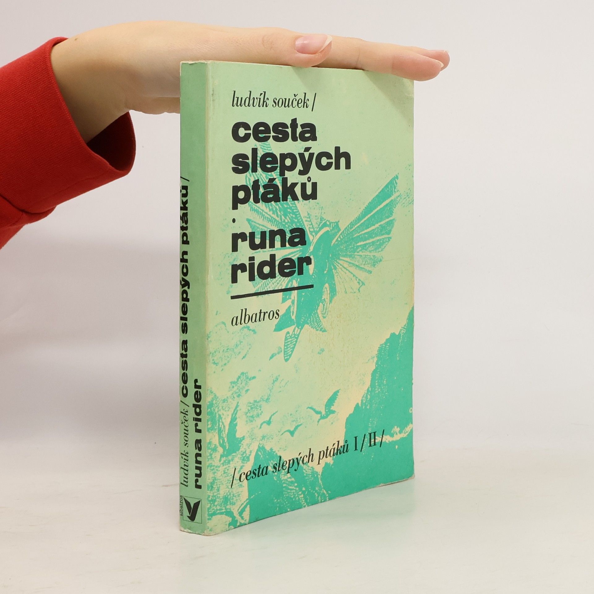 Ludvík Souček Cesta slepých ptáků. Runa rider