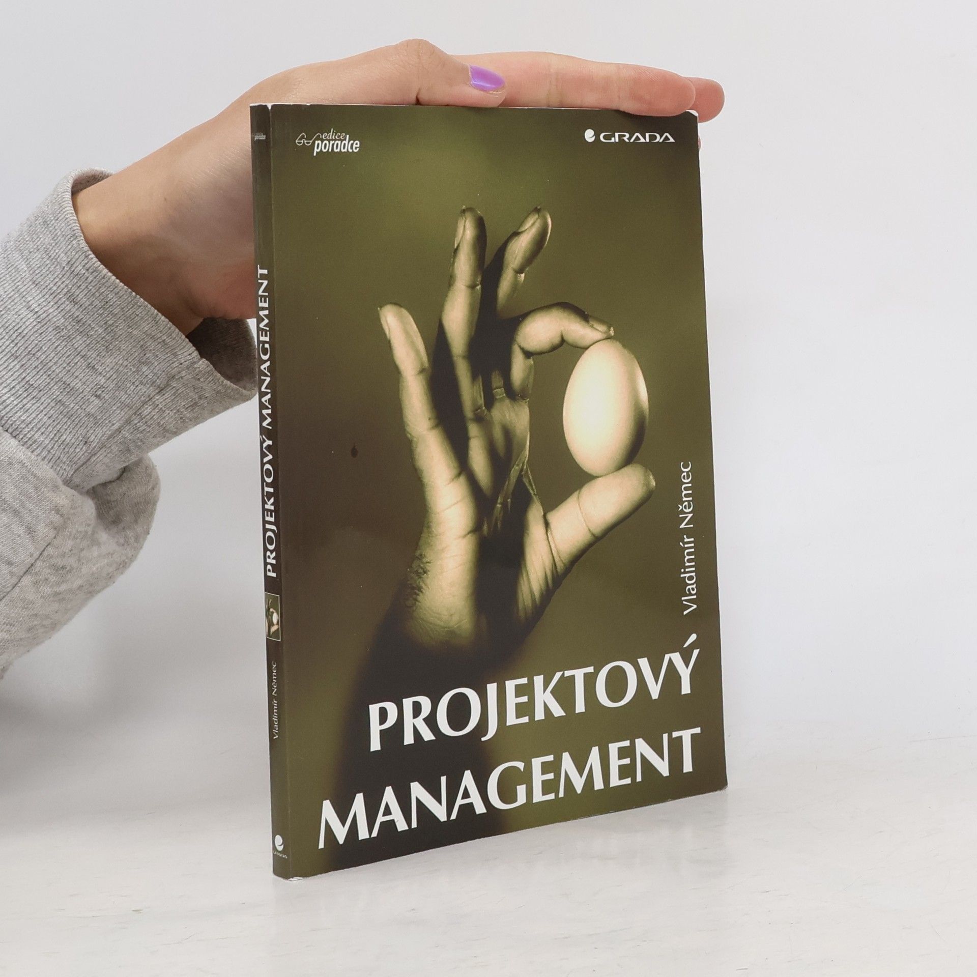 Projektový management