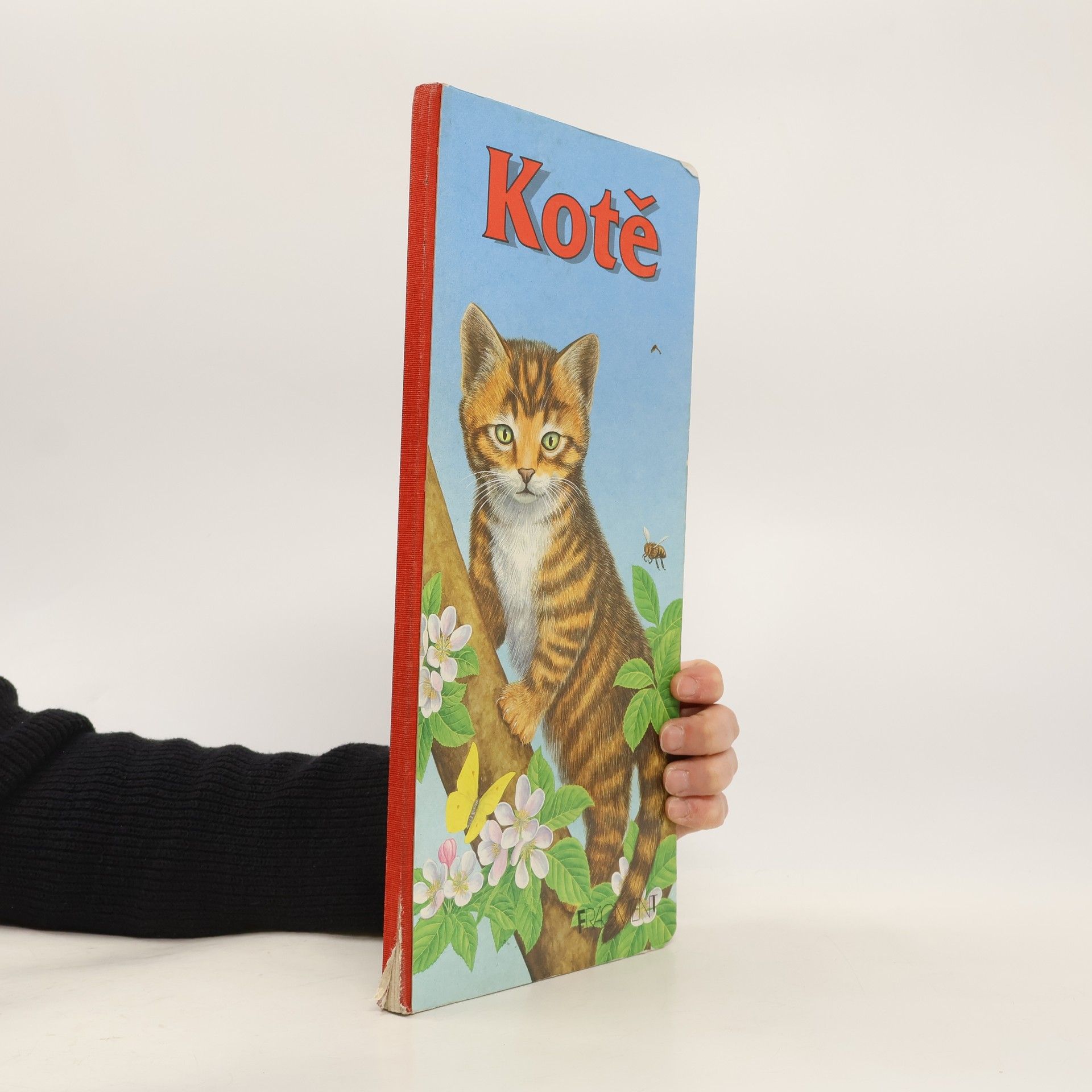 Gisela Fischer-Lingat Kotě