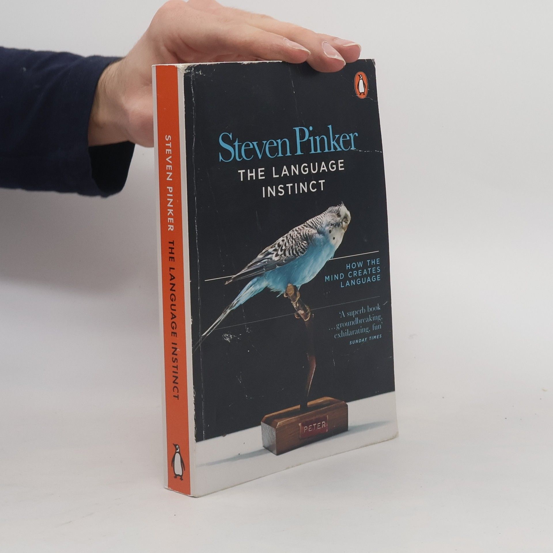 The language instinct : how the mind creates language