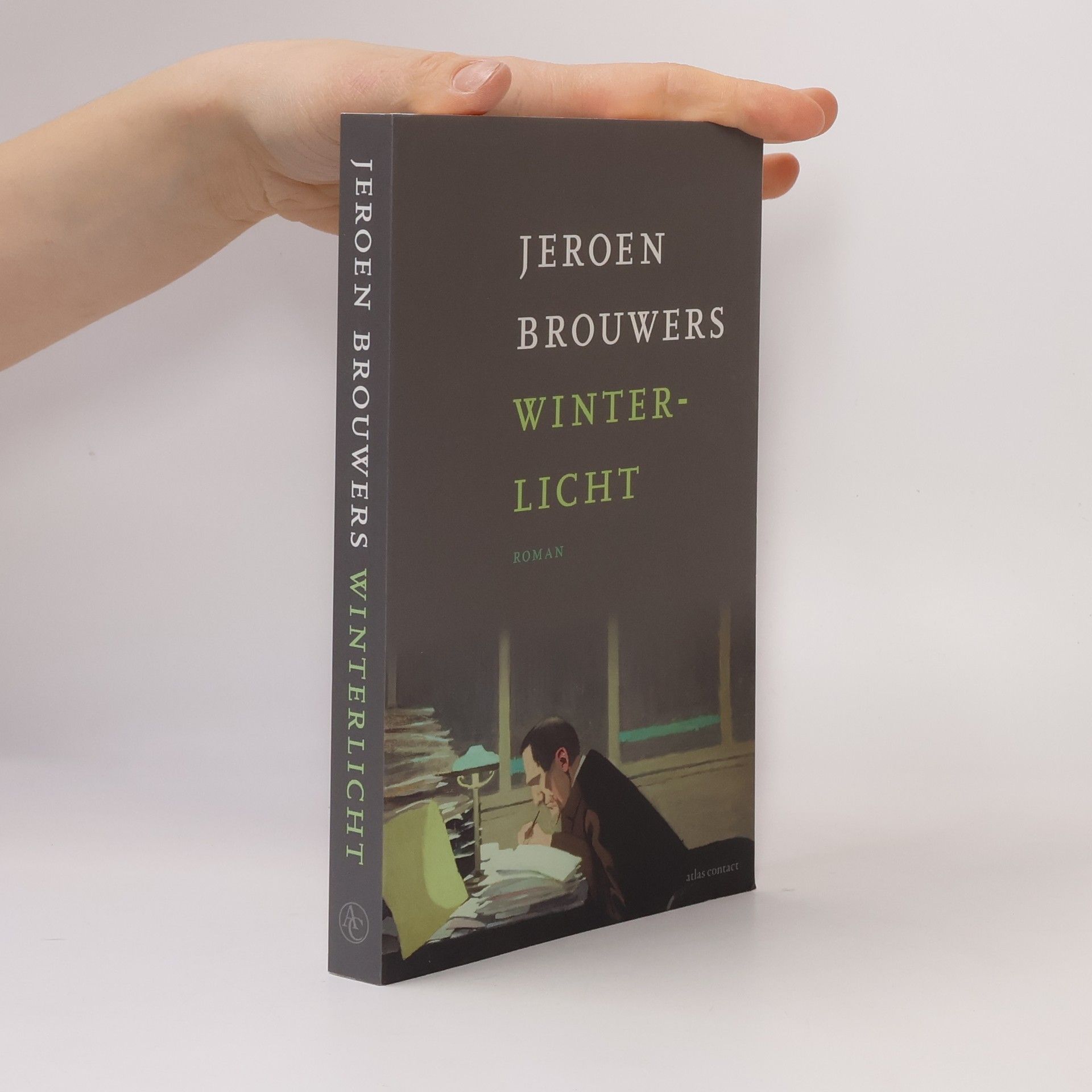 Jeroen Brouwers Winterlicht - druk 4