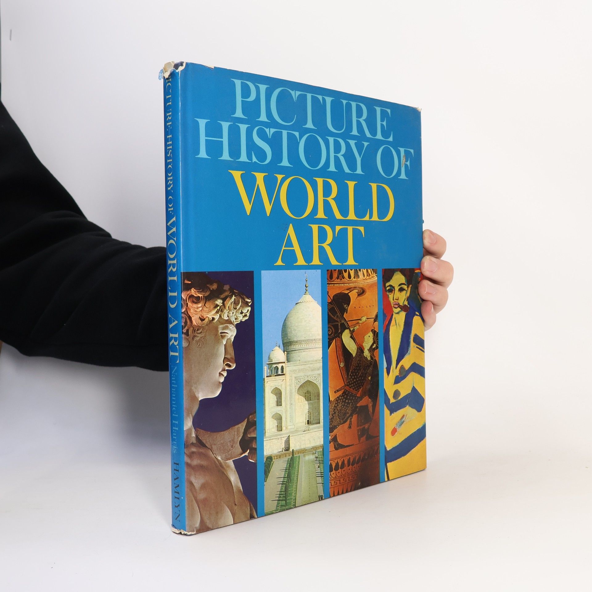 Nathaniel Harris Picture History of World Art