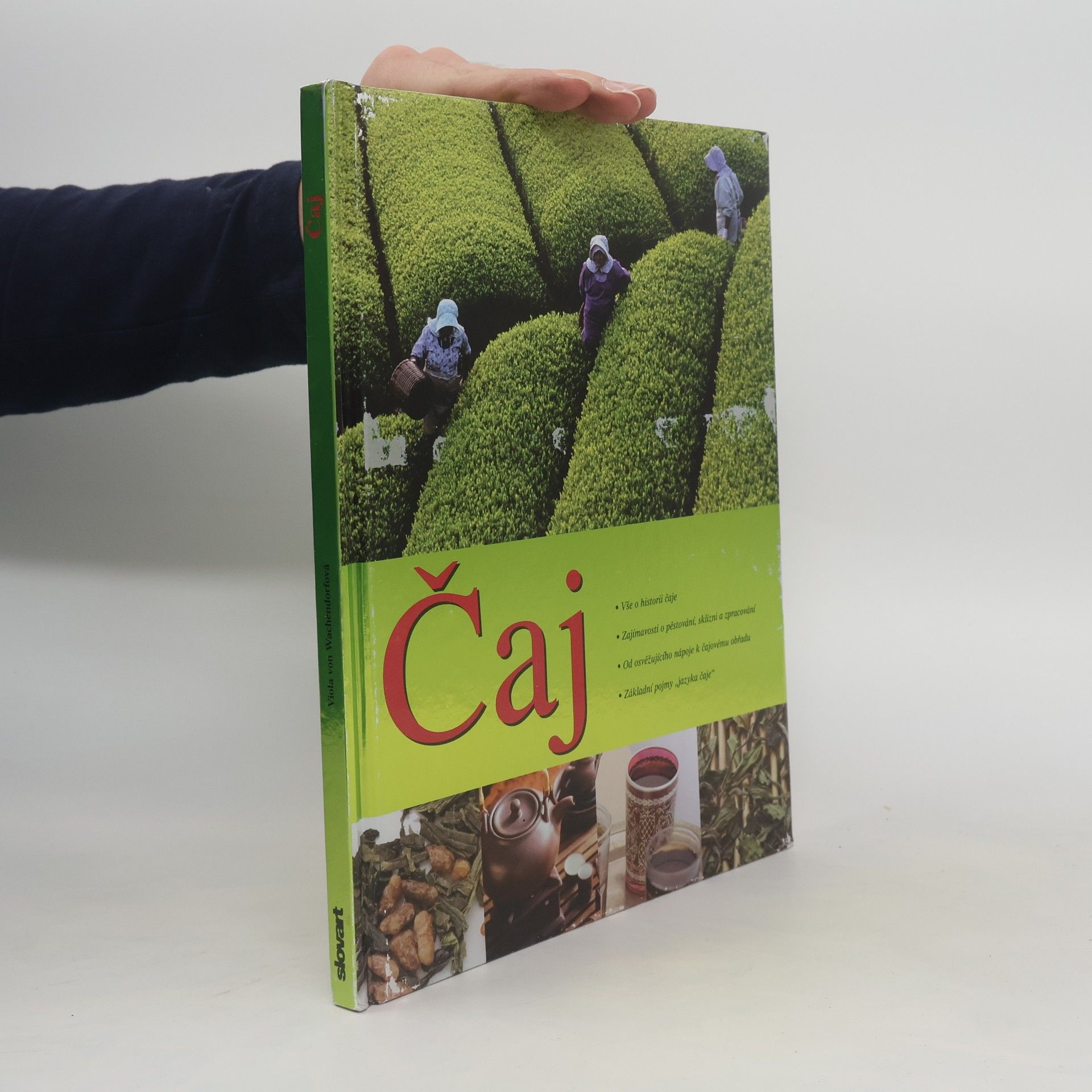 Viola von Wachendorf Čaj