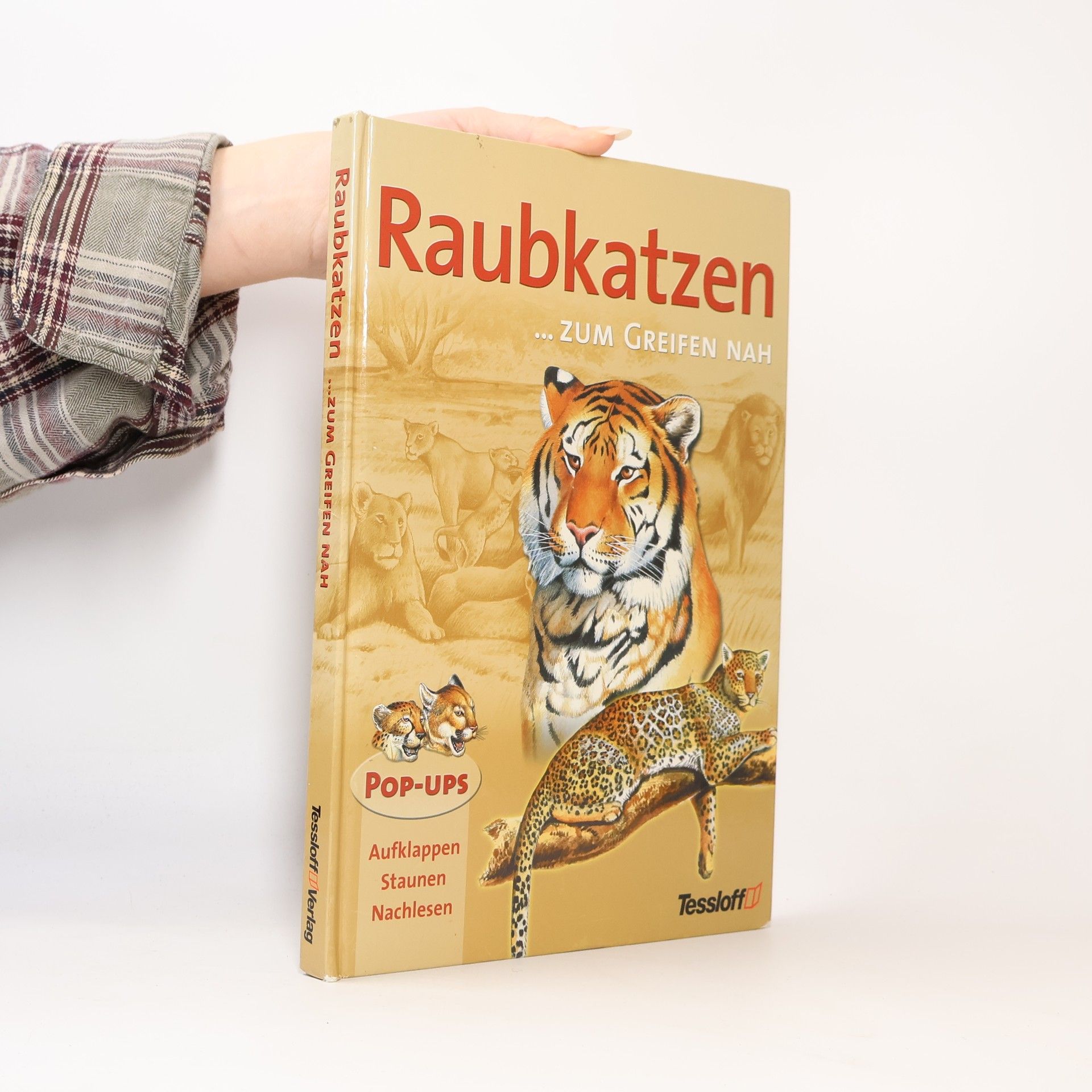 Alice Burdett Raubkatzen