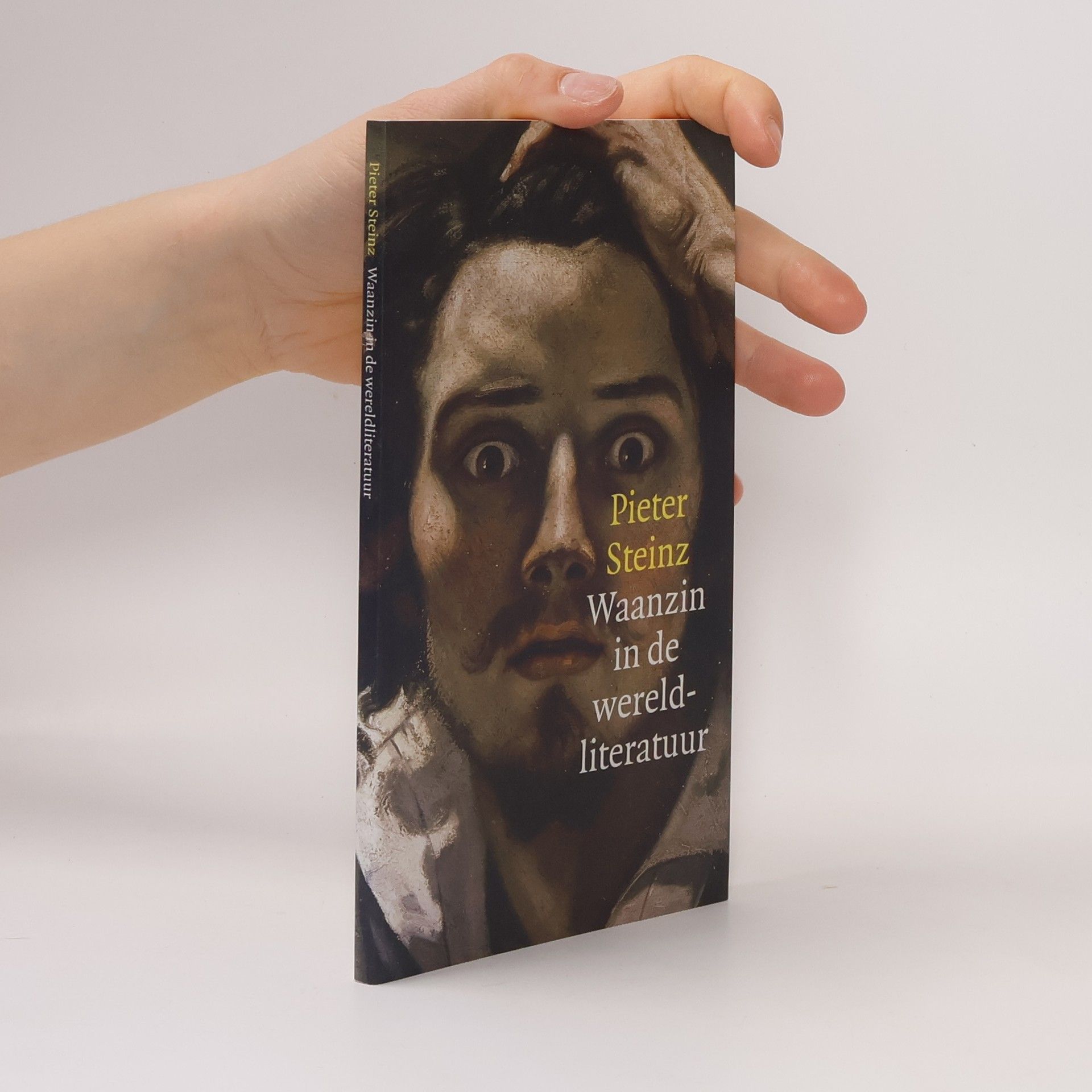 Pieter Steinz Waanzin in de wereldliteratuur