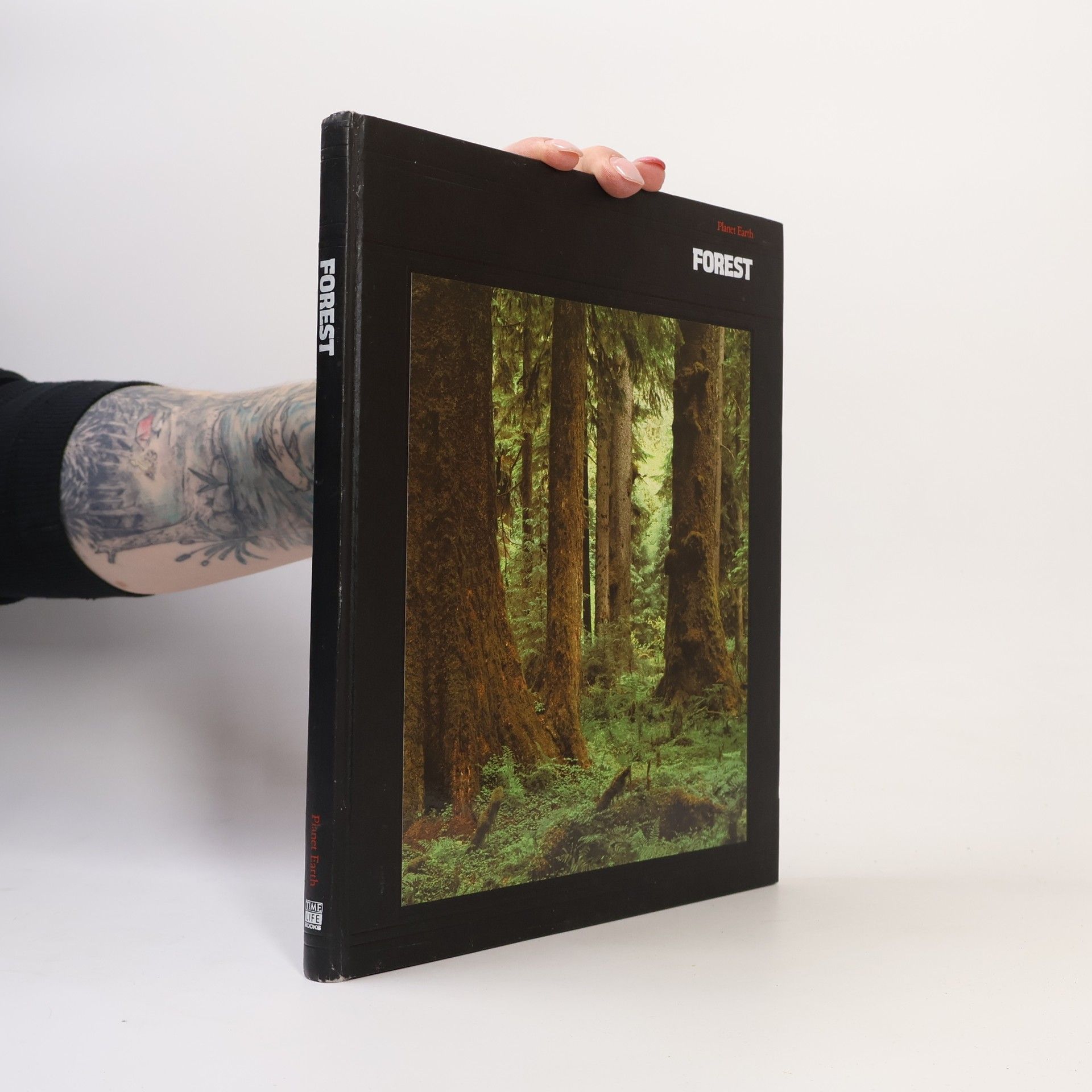 Autores varios Forest