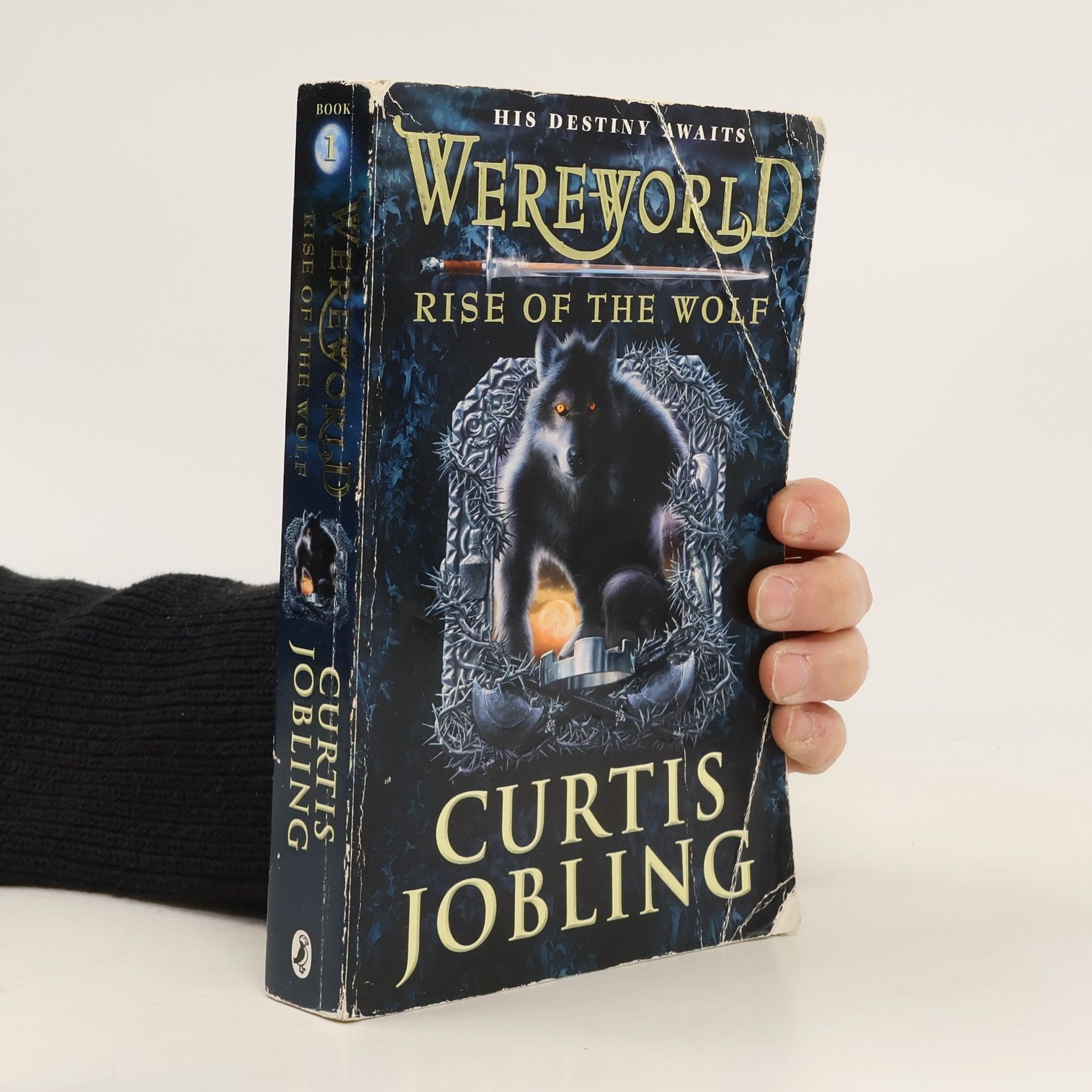 Curtis Jobling Wereworld