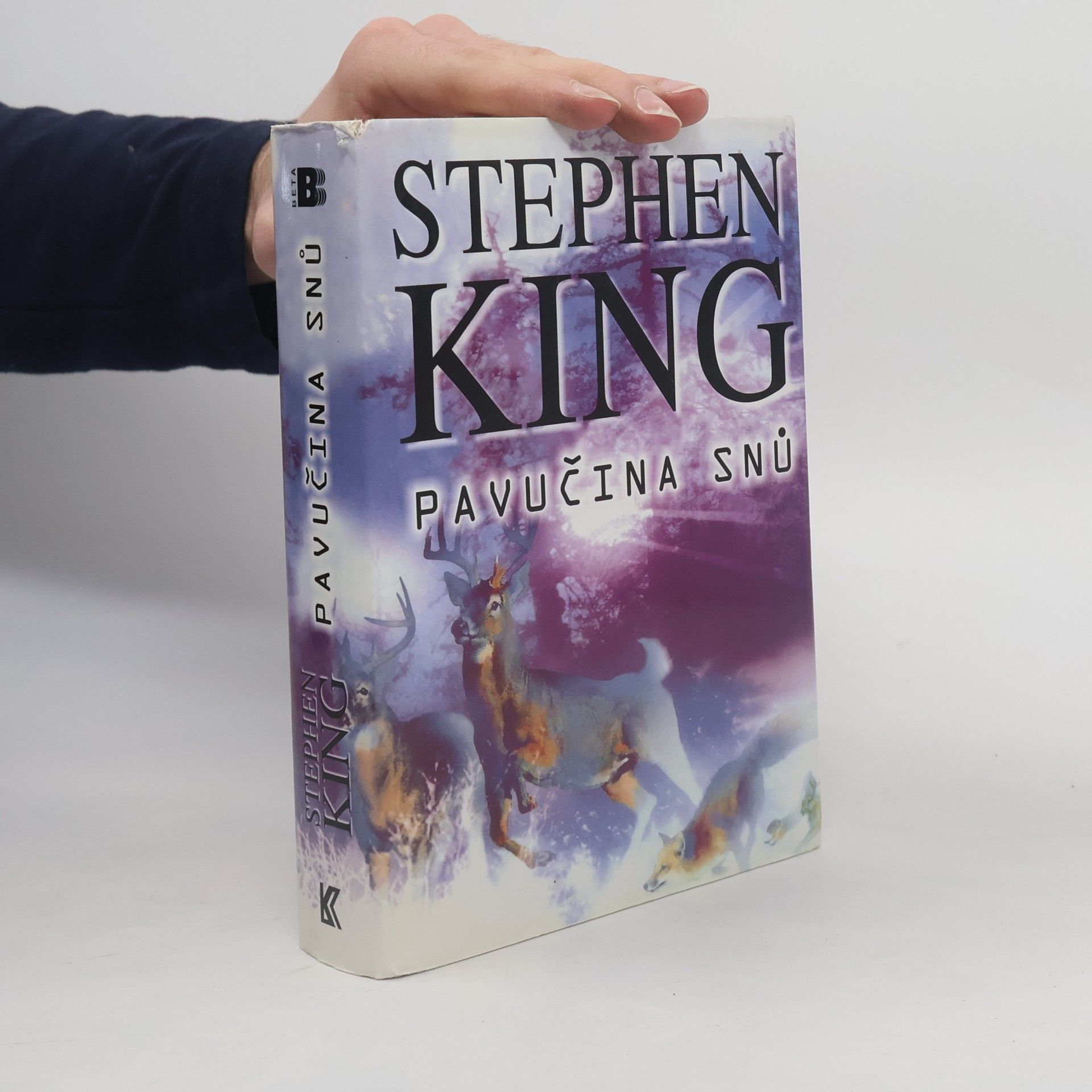 Stephen King Pavučina snů