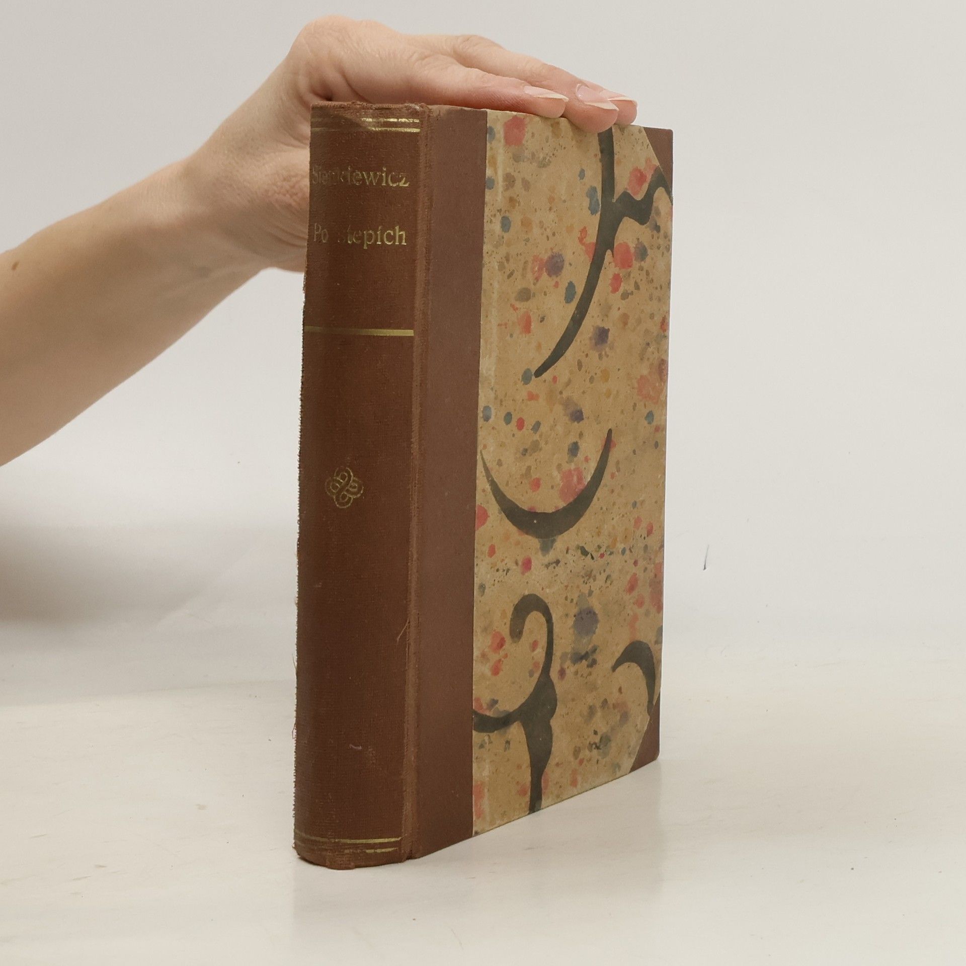 Henryk Sienkiewicz Po stepích a jiné črty