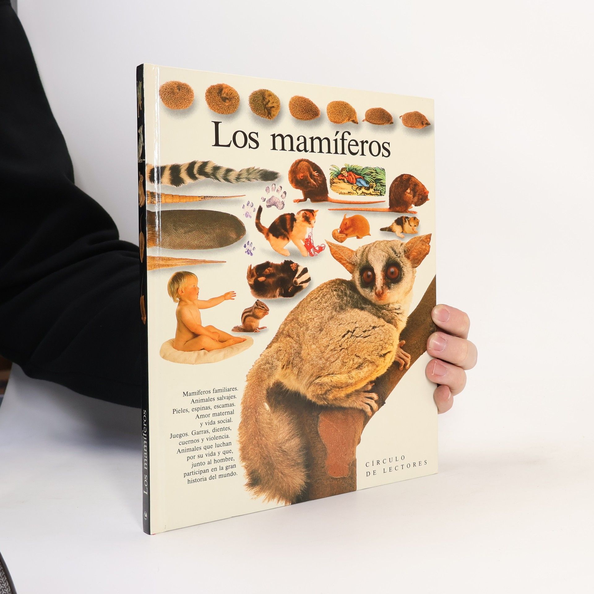 Steve Parker Los mamíferos