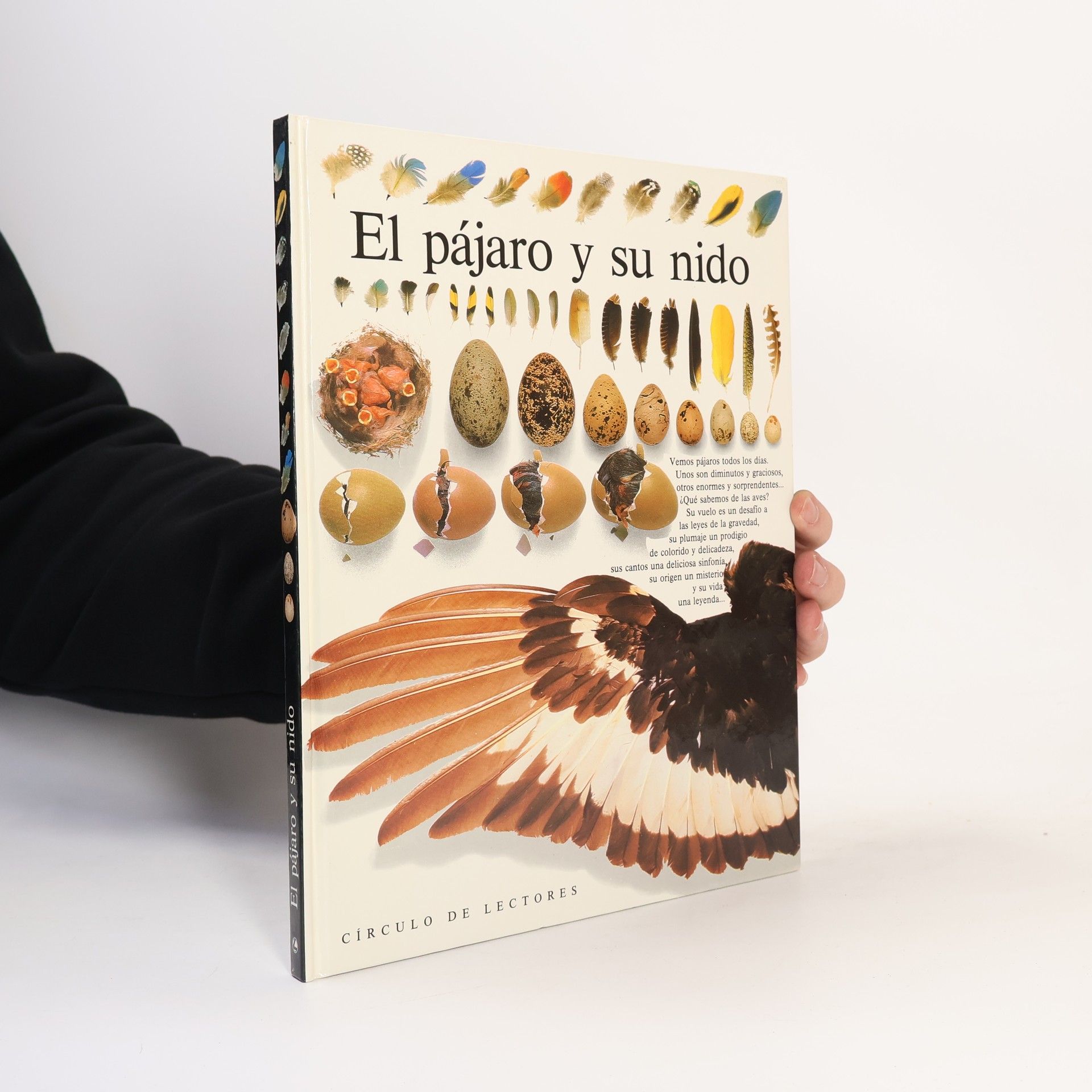 David Burnie El pájaro y su nido