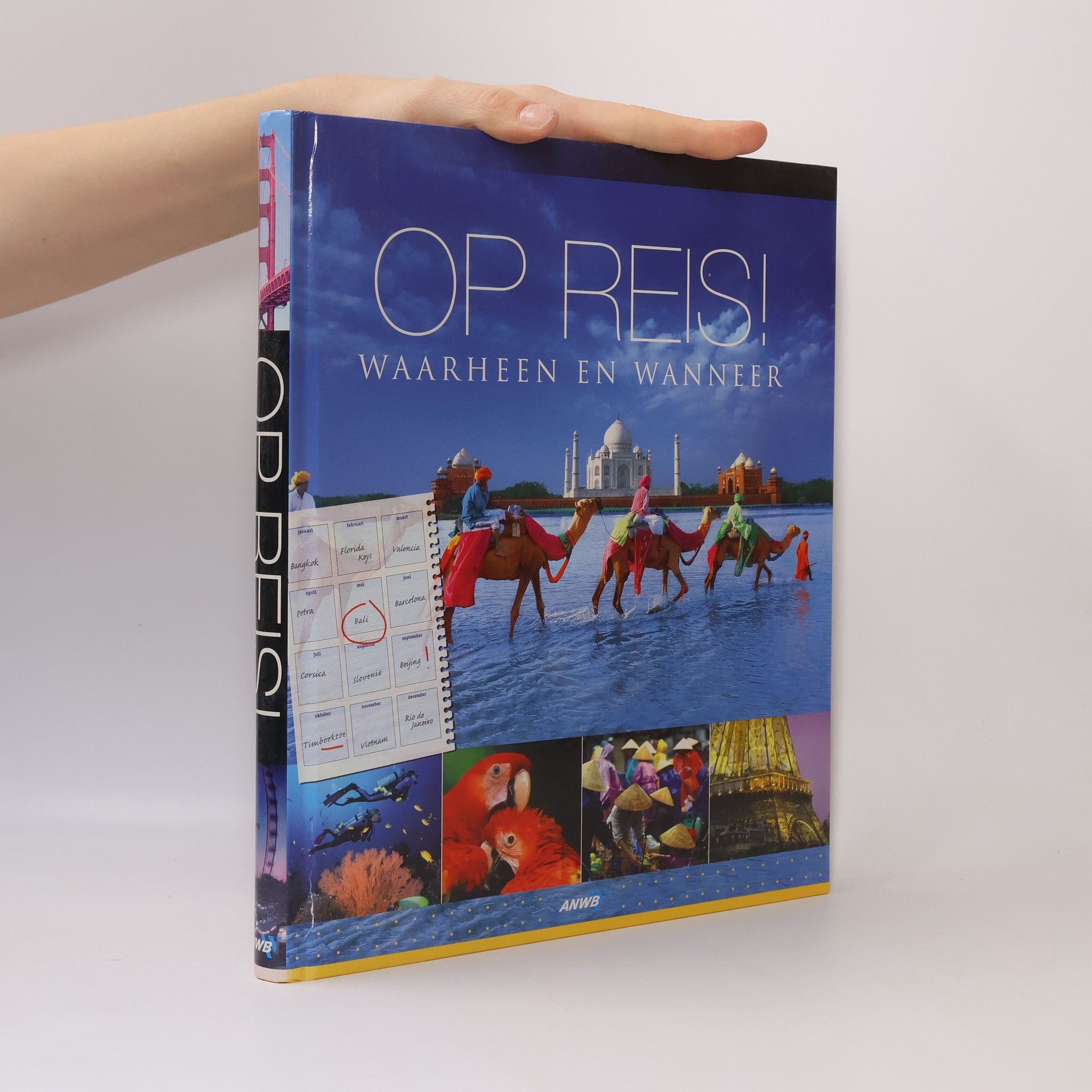 Craig Doyle Op reis ! Waarheen en wanneer.