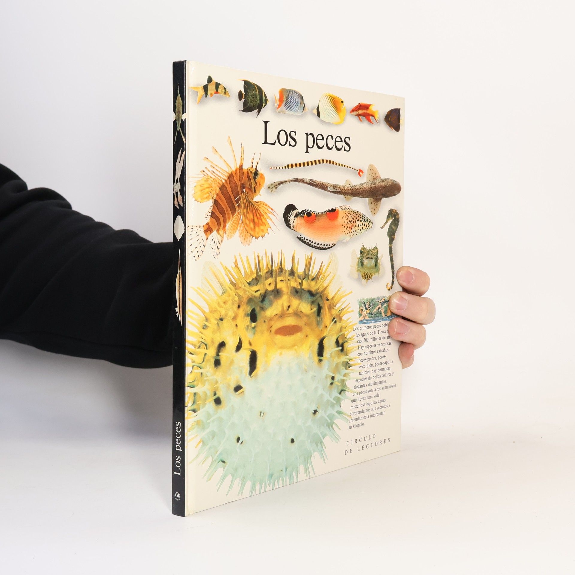 Steve Parker Los peces