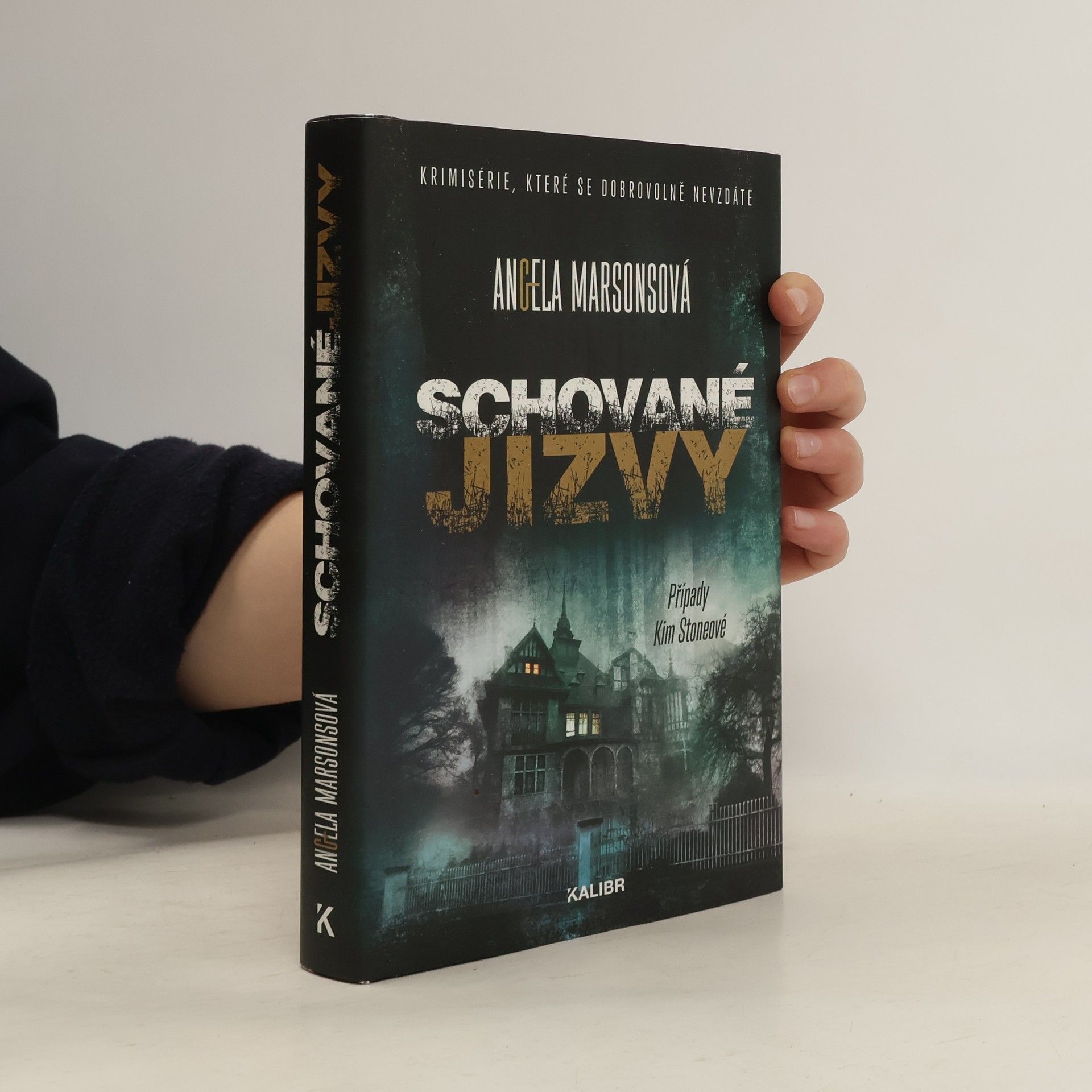 Angela Marsons Schované jizvy