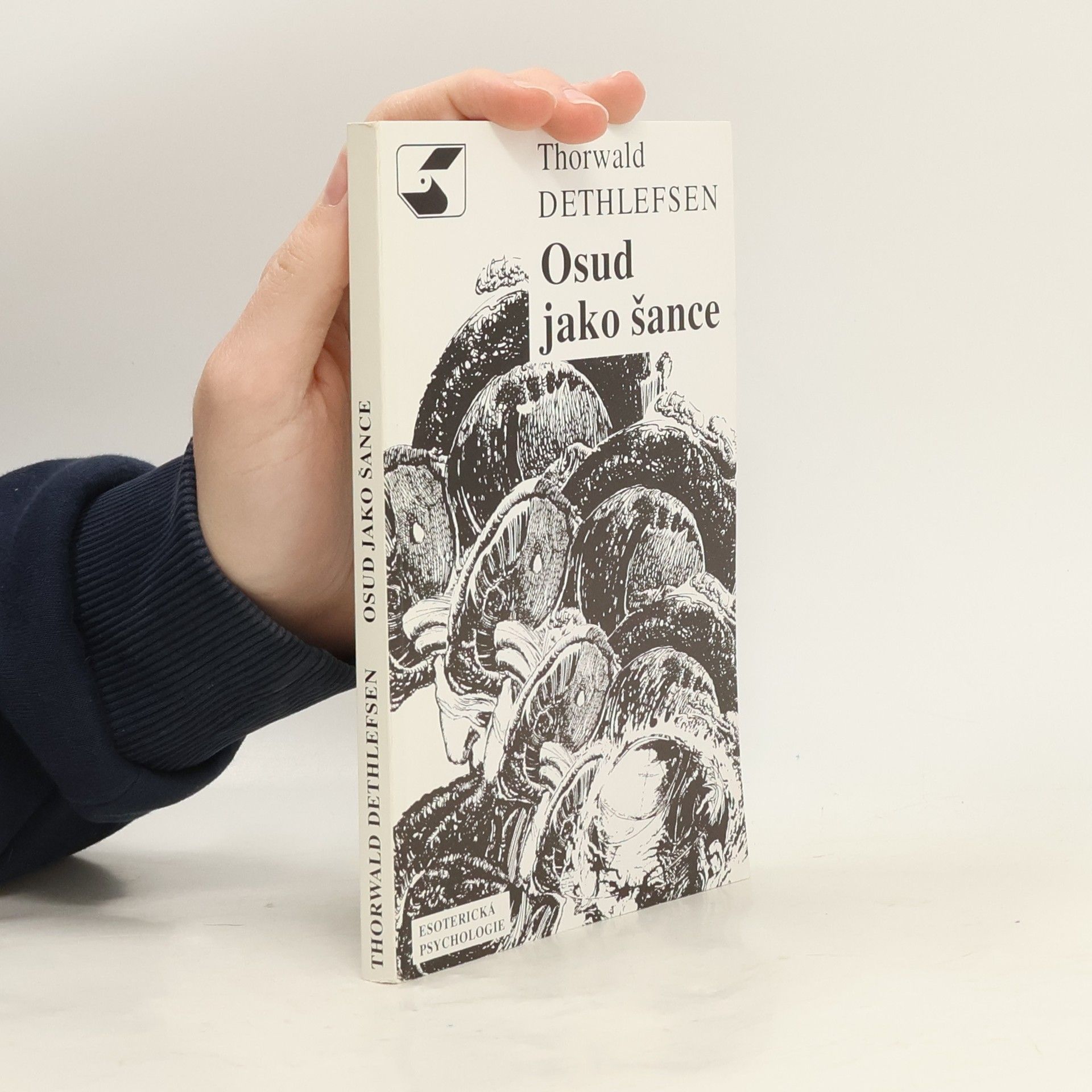 Thorwald Dethlefsen Osud jako šance